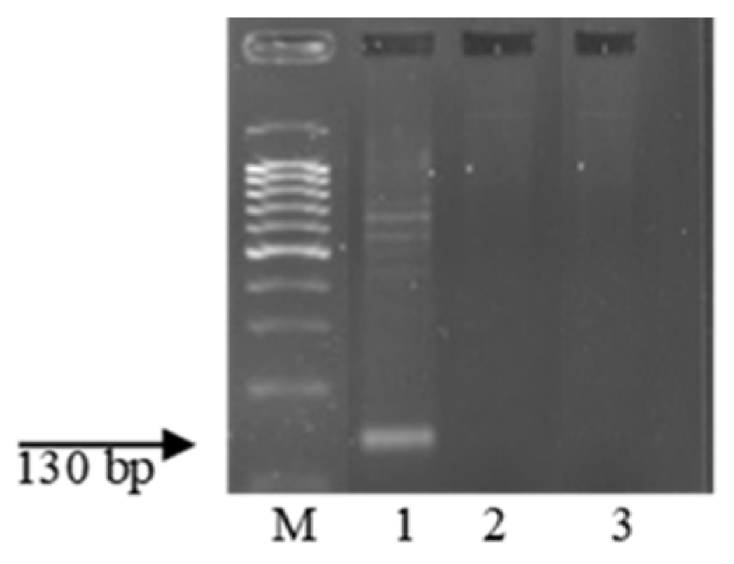 Plants 13 01166 g007 Plants 13 01166 g007