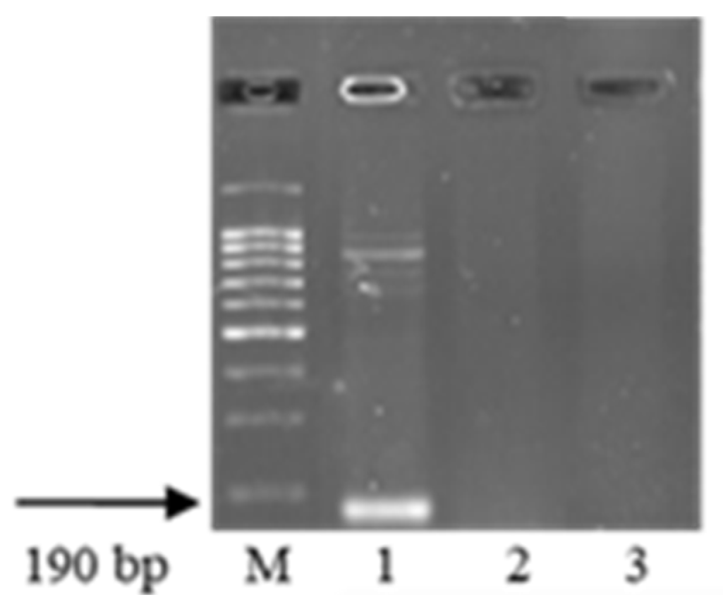 Plants 13 01166 g009 Plants 13 01166 g009