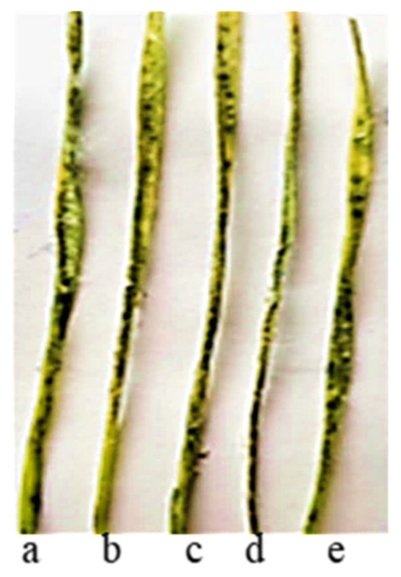 Plants 13 01166 g012 Plants 13 01166 g012