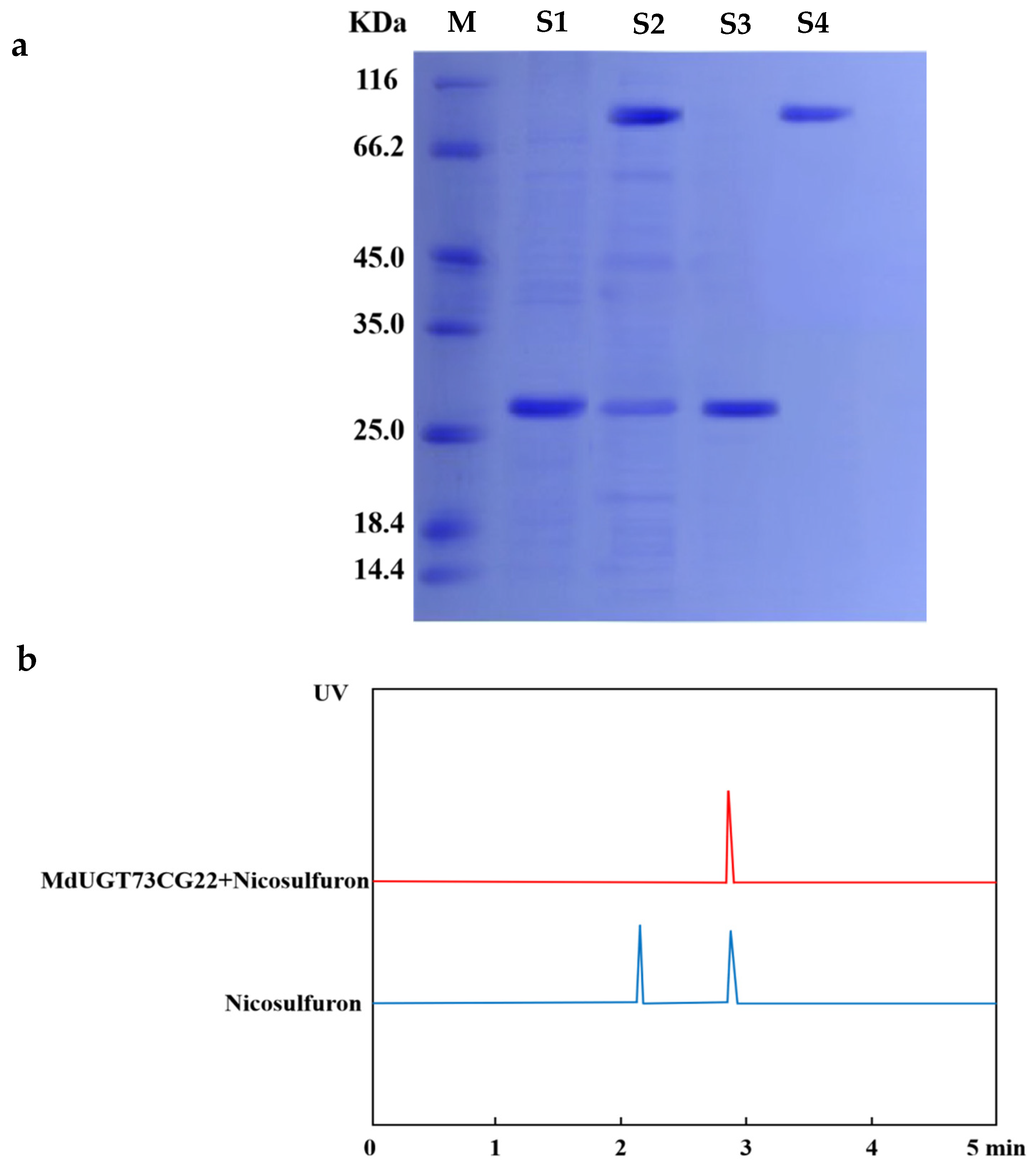 Plants 13 01171 g003a