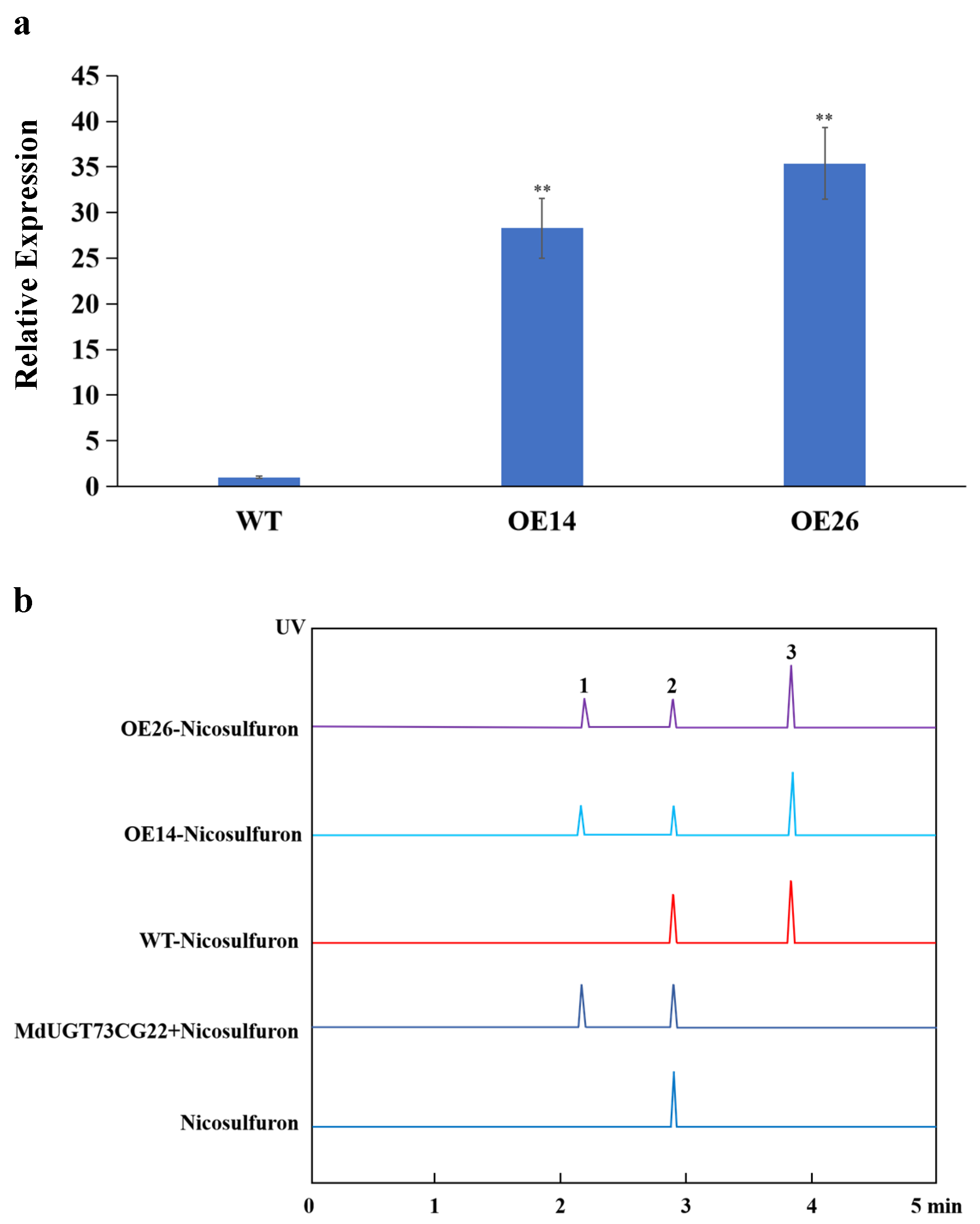 Plants 13 01171 g004