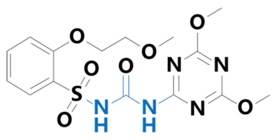 Plants 13 01171 i007