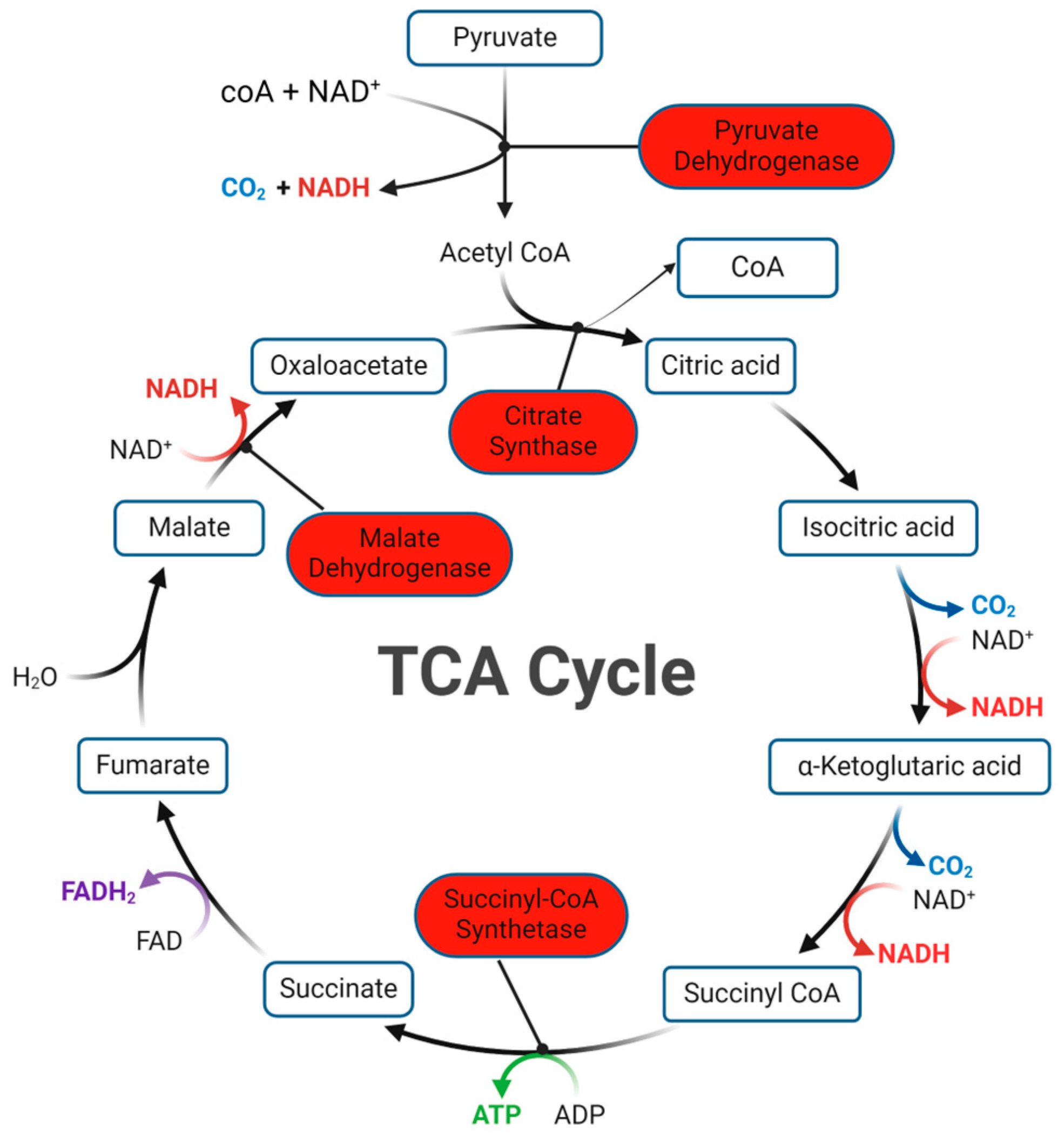Plants 13 01174 g005