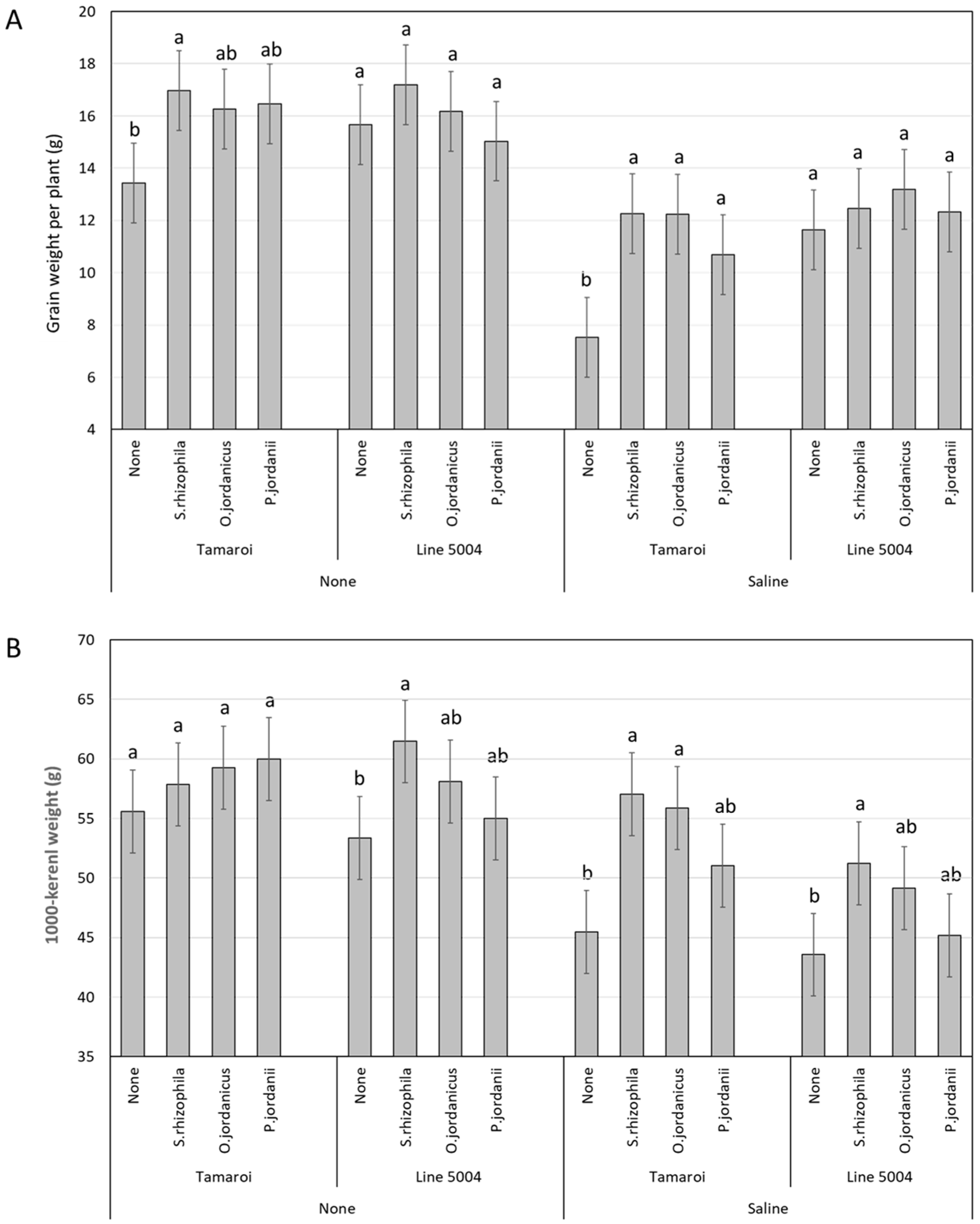 Plants 13 01179 g001