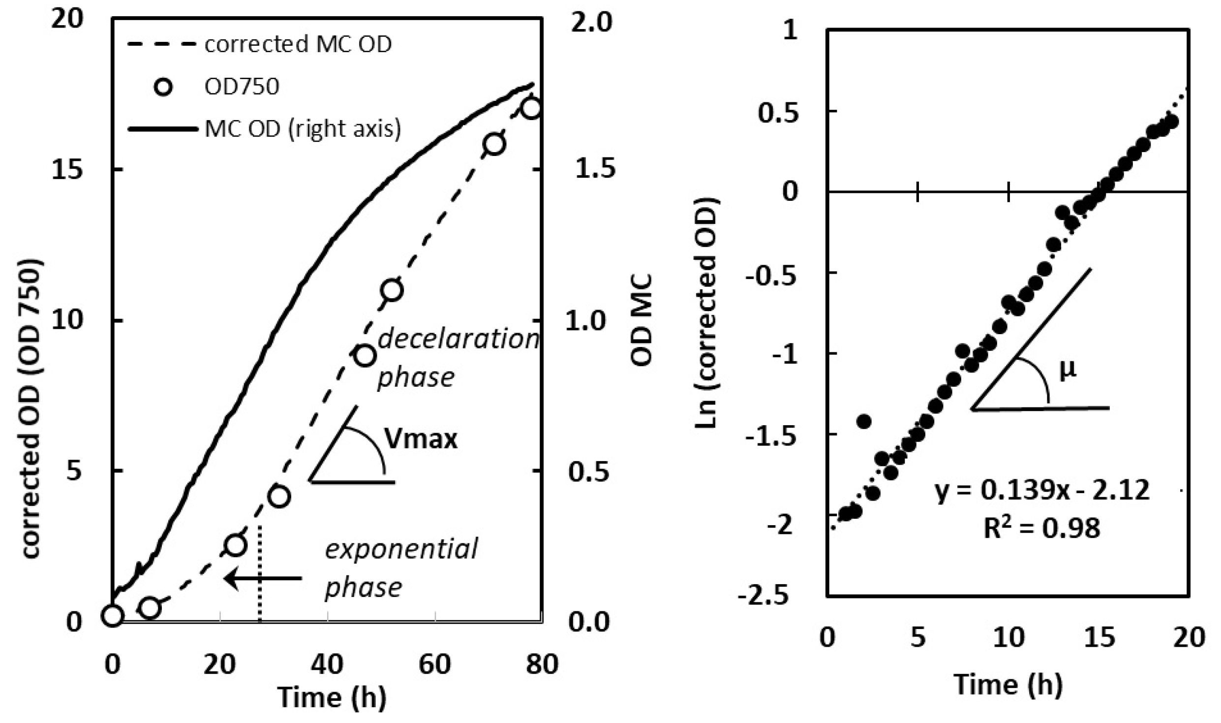 Plants 13 01182 g008 Plants 13 01182 g008