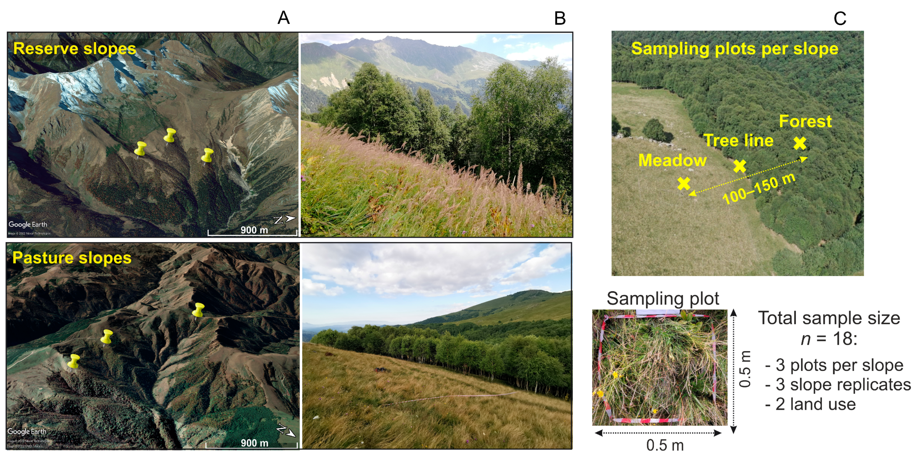 Plants 13 01193 g005