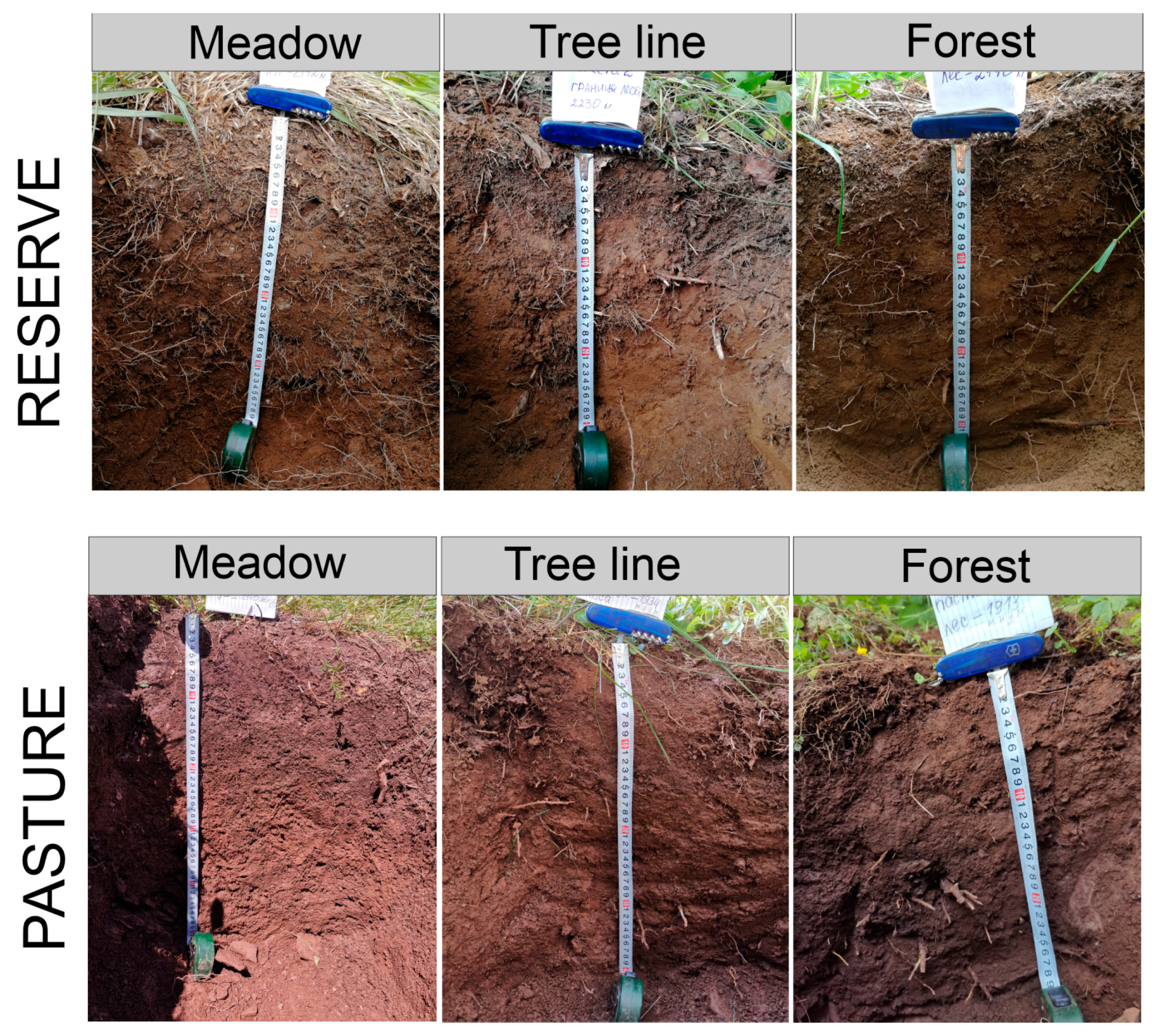 Plants 13 01193 g0a1