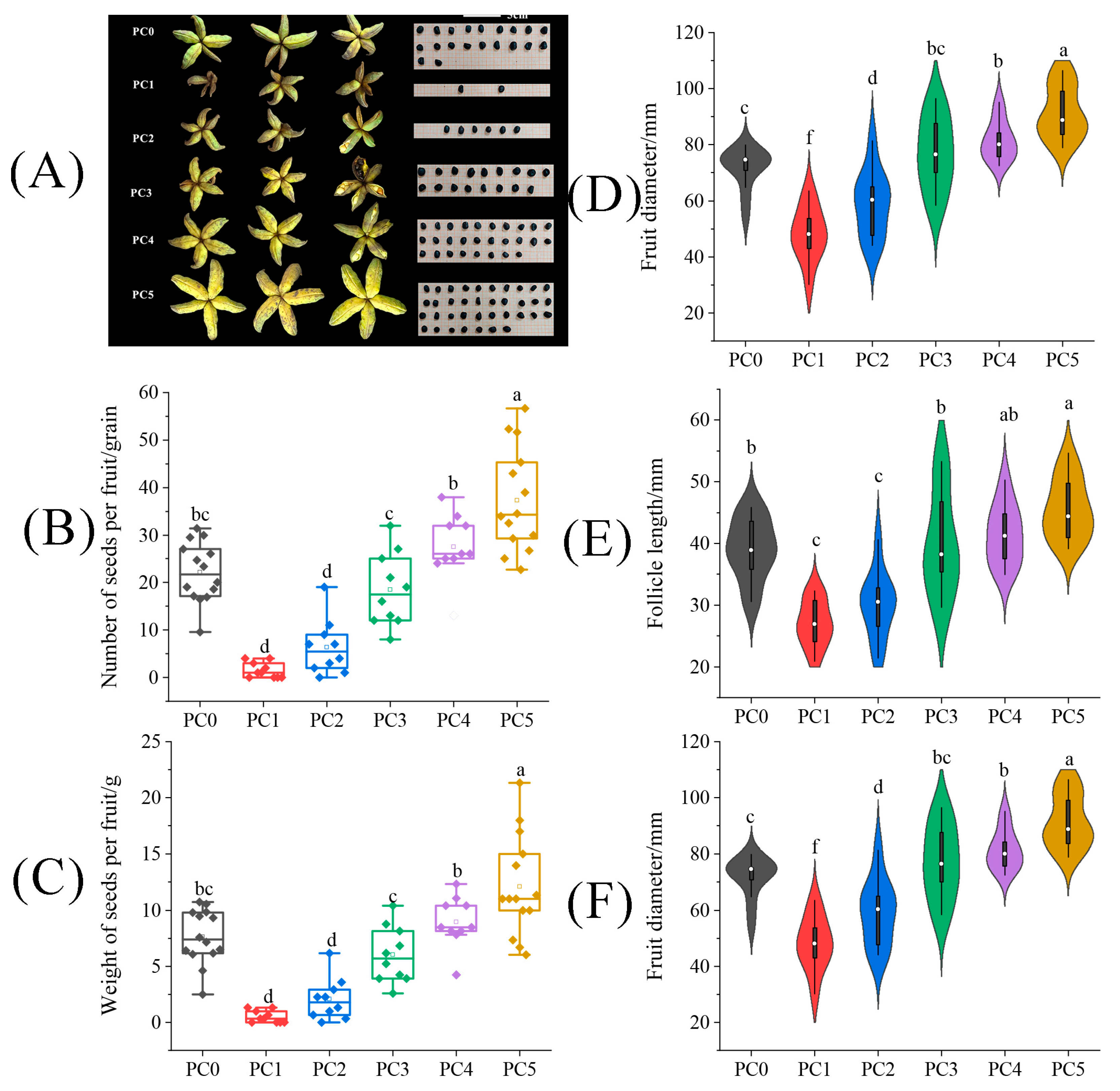 Plants 13 01194 g004