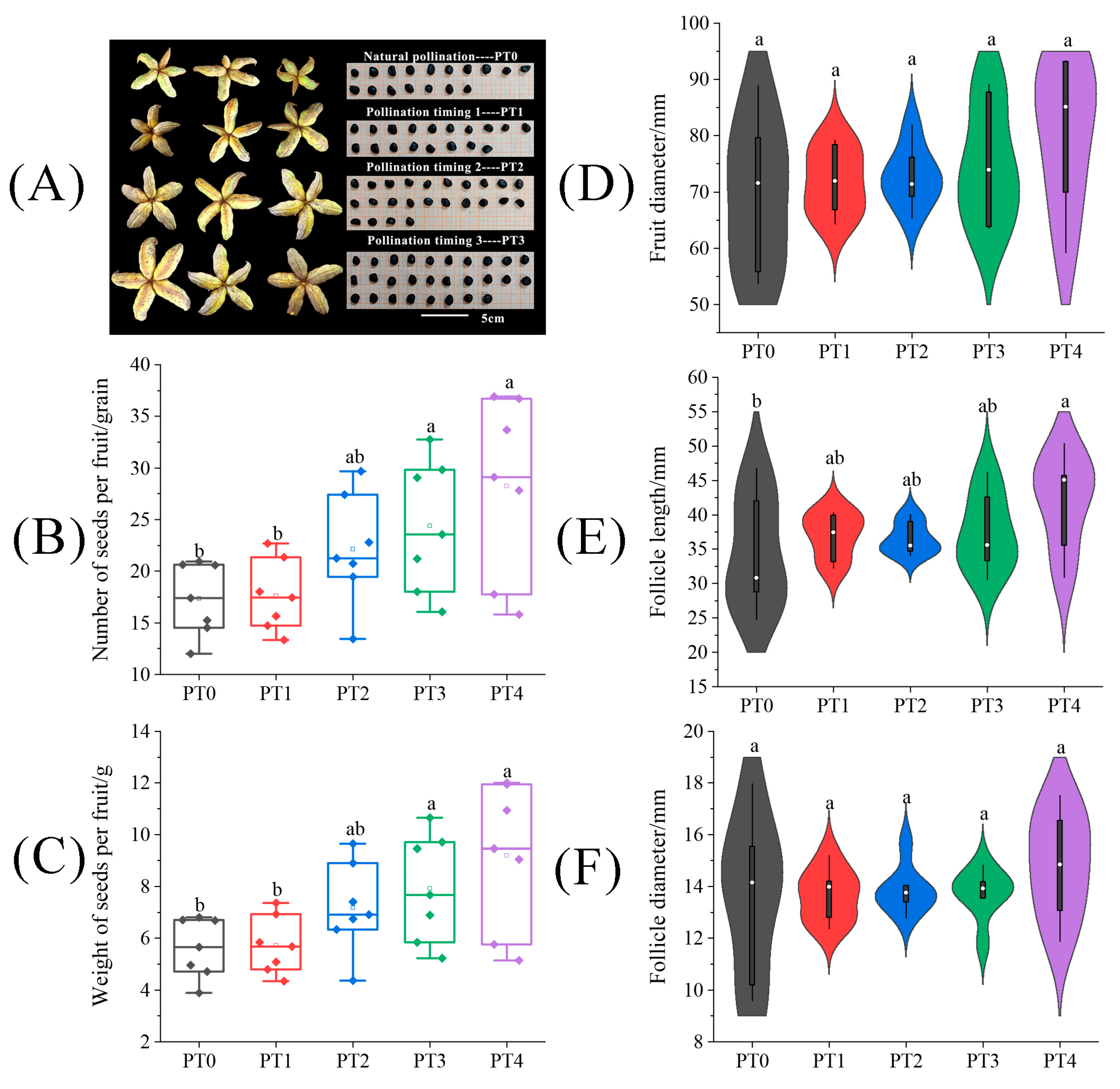 Plants 13 01194 g006