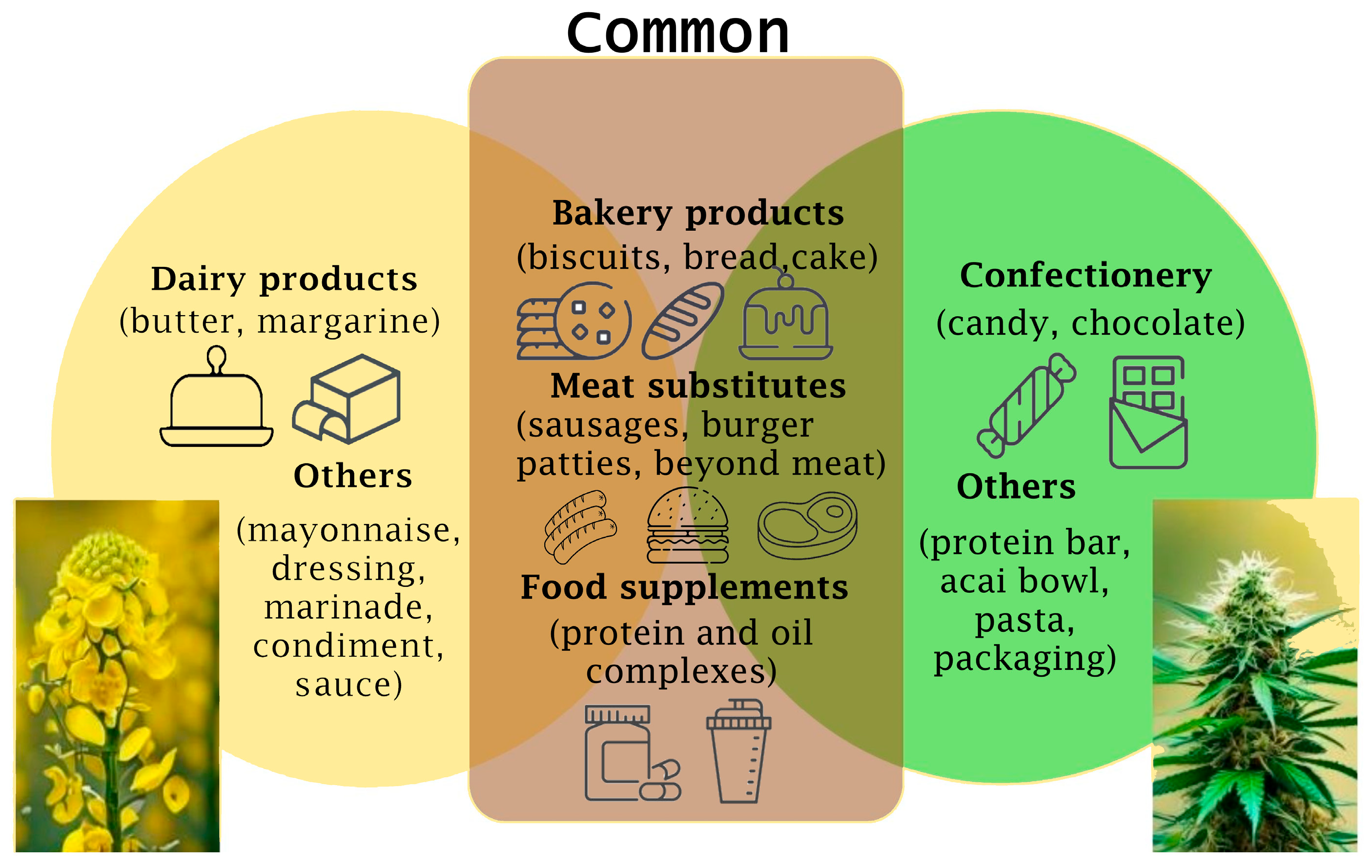 Plants 13 01195 g002
