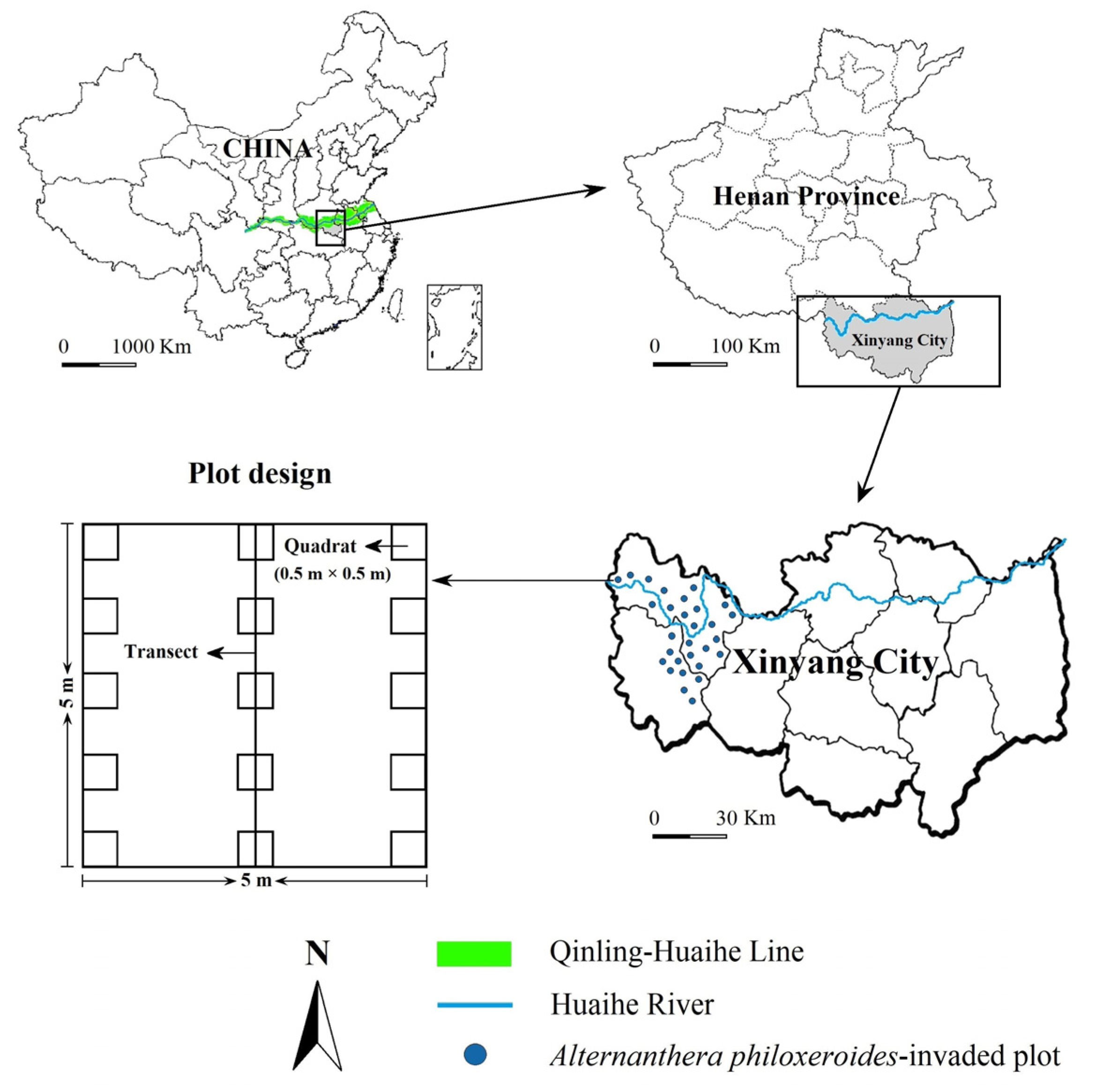 Plants 13 01196 g006