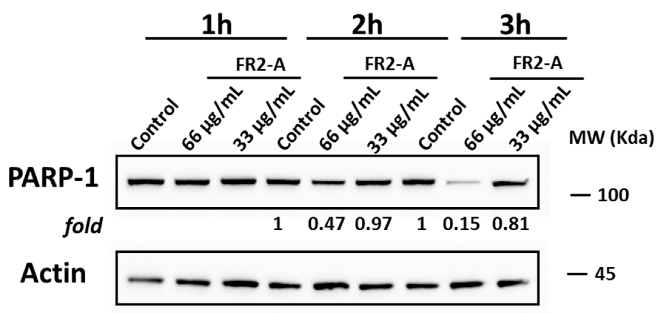 Plants 13 01201 g007