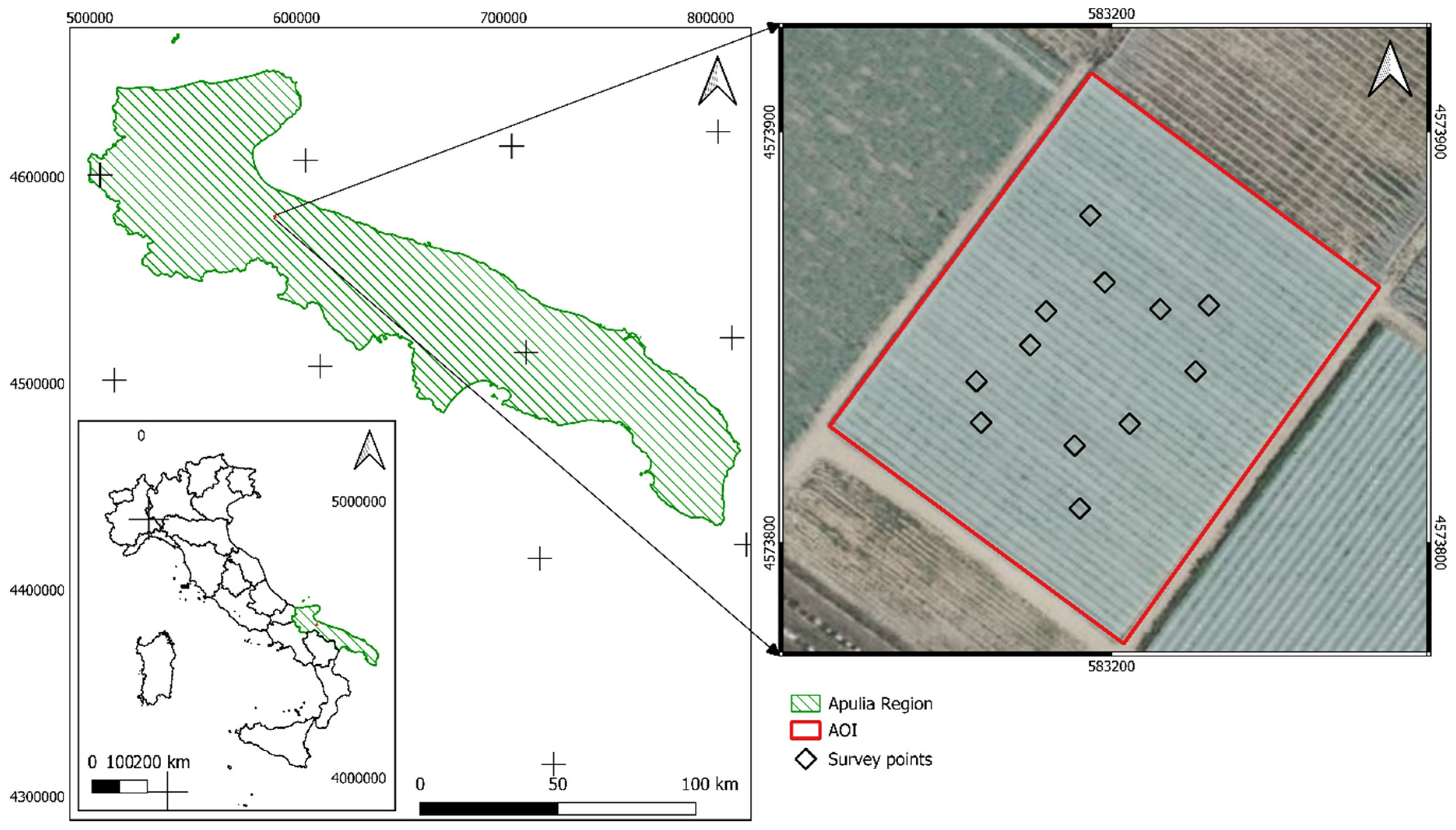 Plants 13 01203 g001