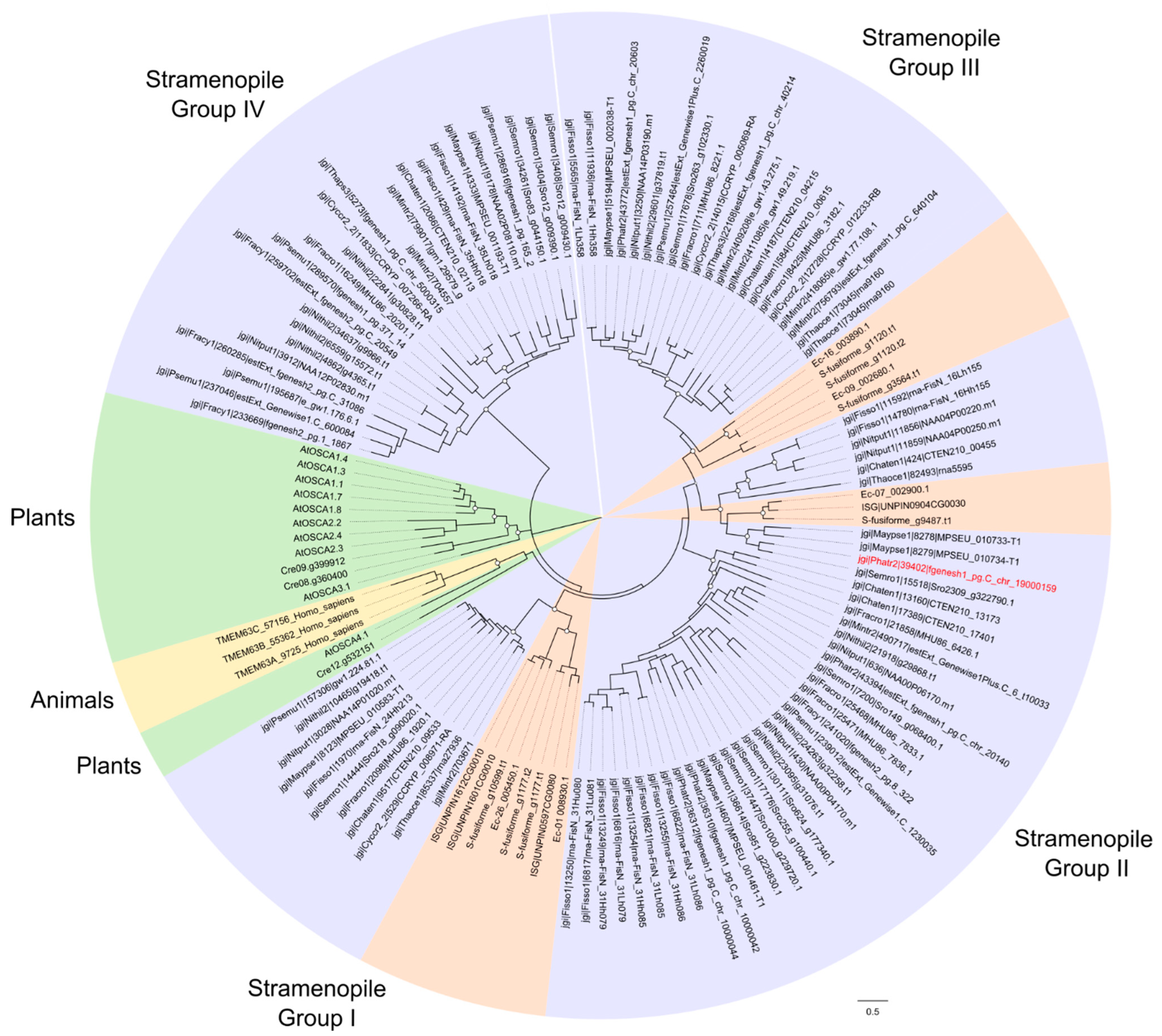 Plants 13 01207 g006