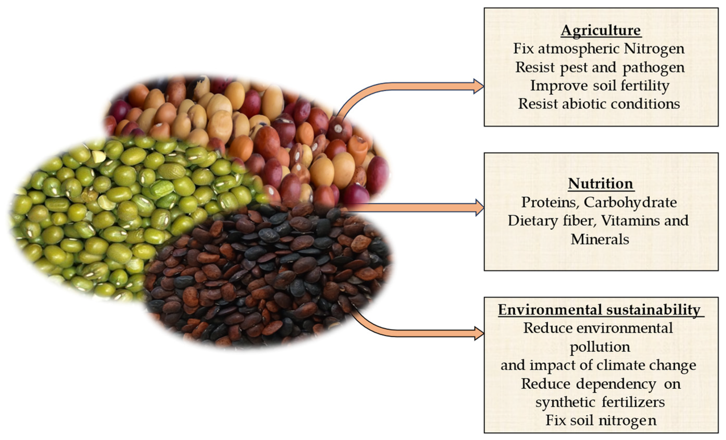 Plants 13 01208 g001