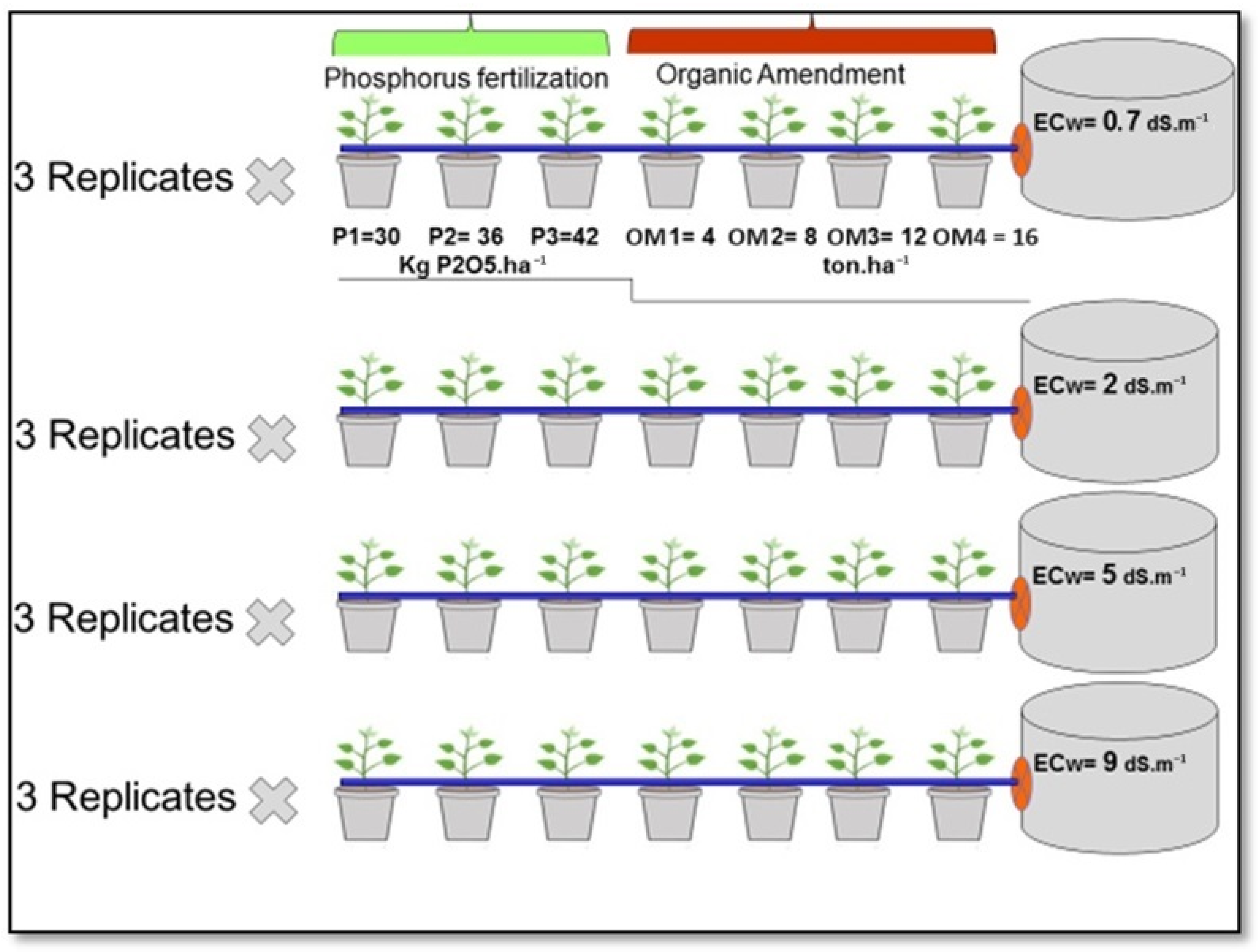 Plants 13 01209 g003