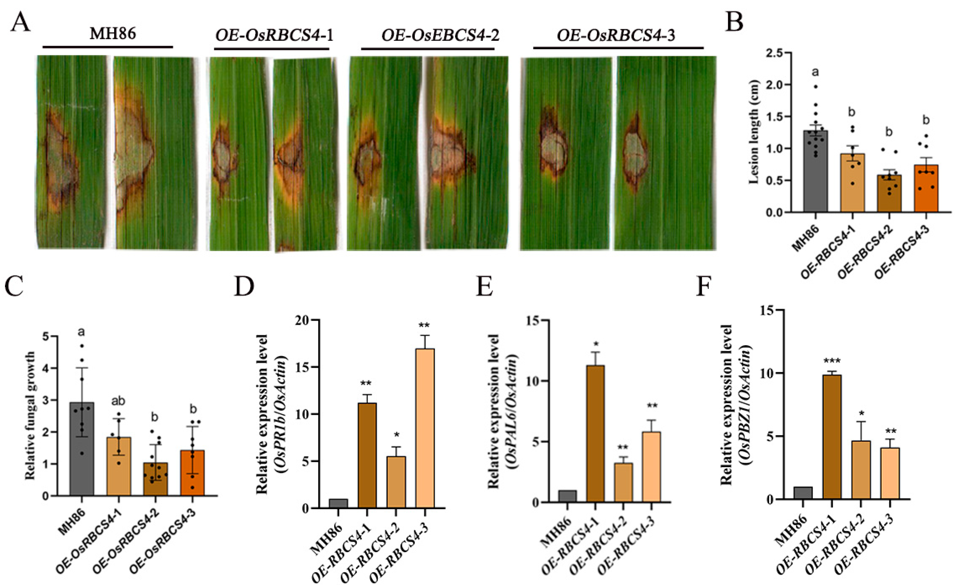 Plants 13 01214 g003