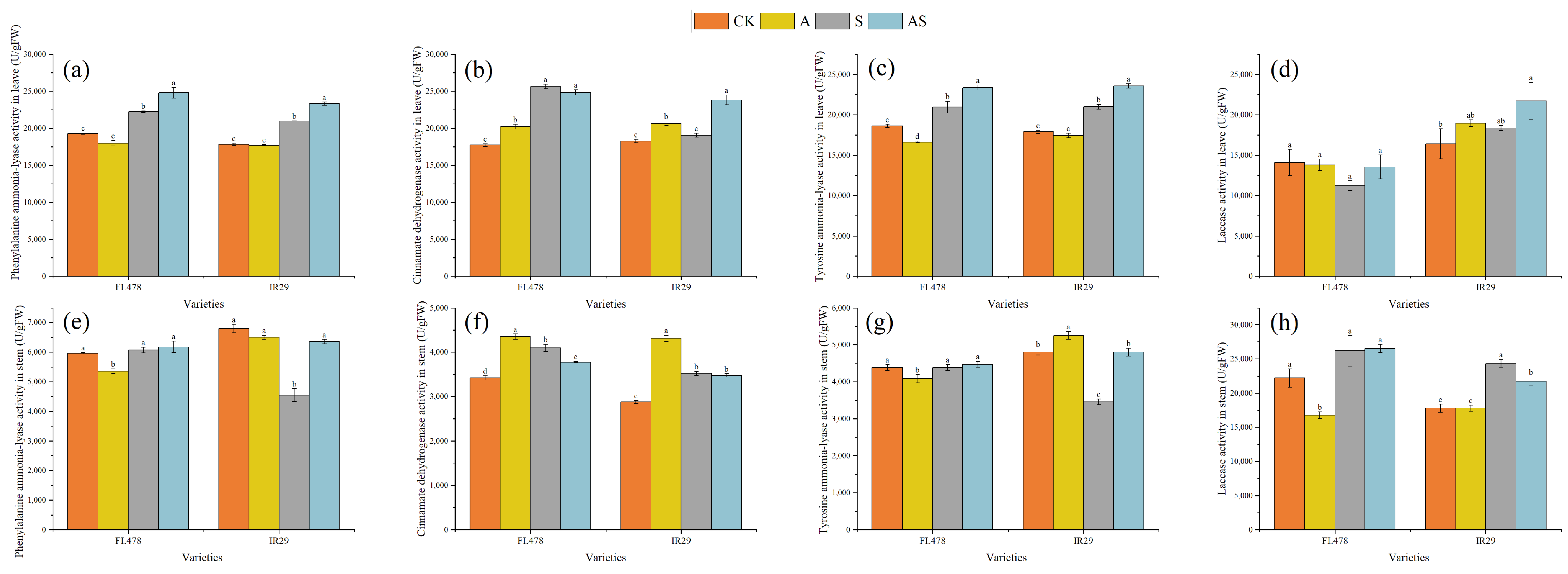 Plants 13 01215 g004