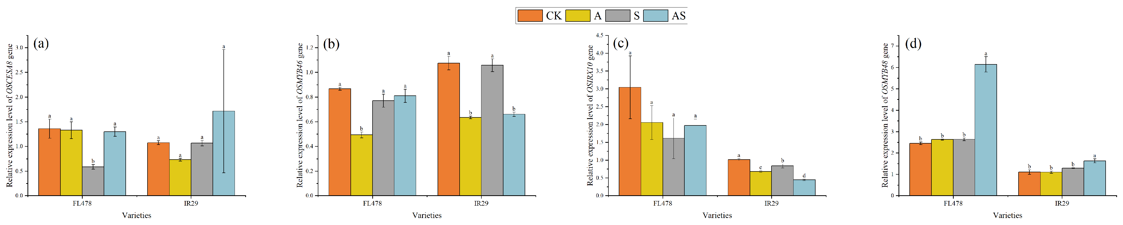 Plants 13 01215 g006