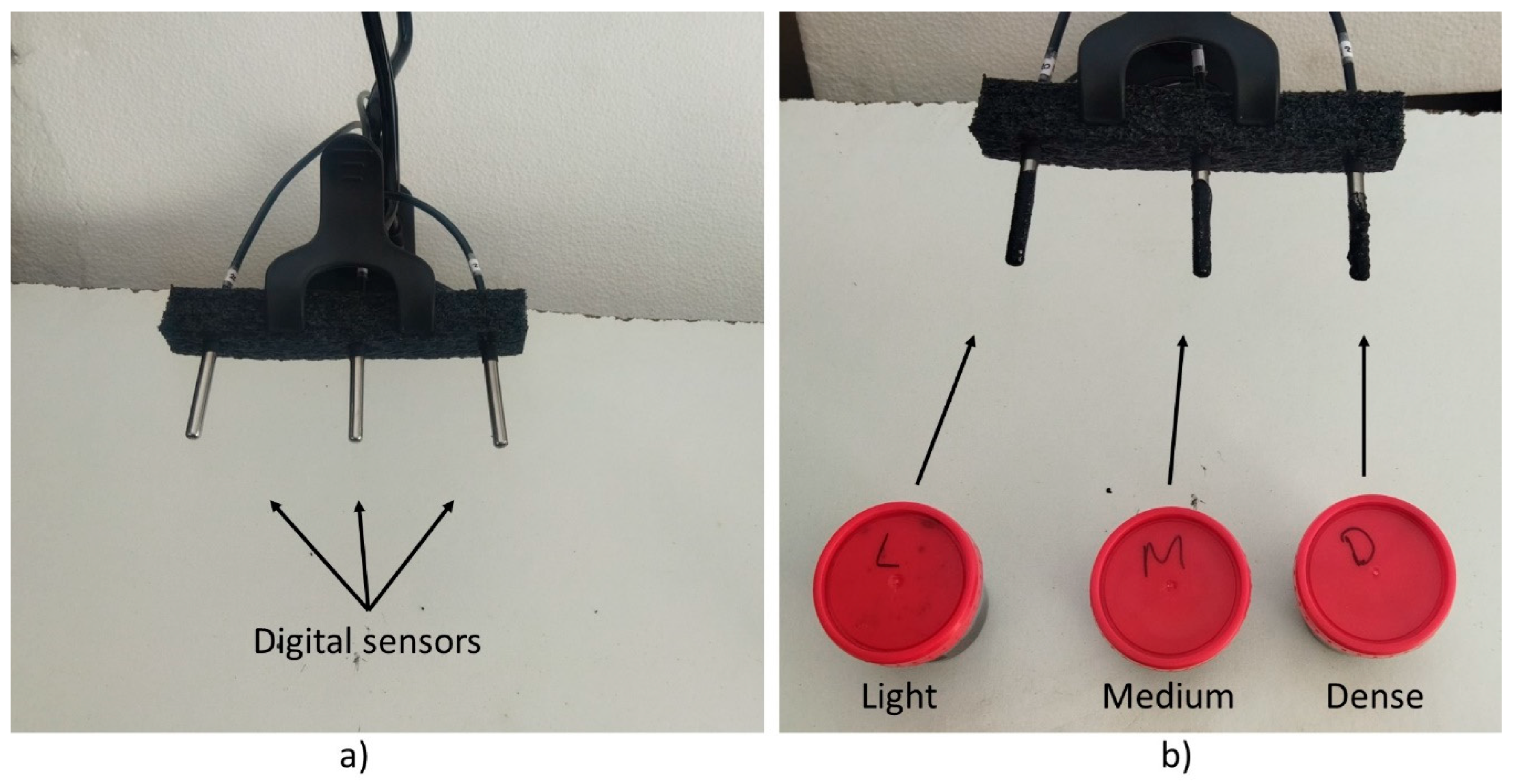 Plants 13 01216 g005