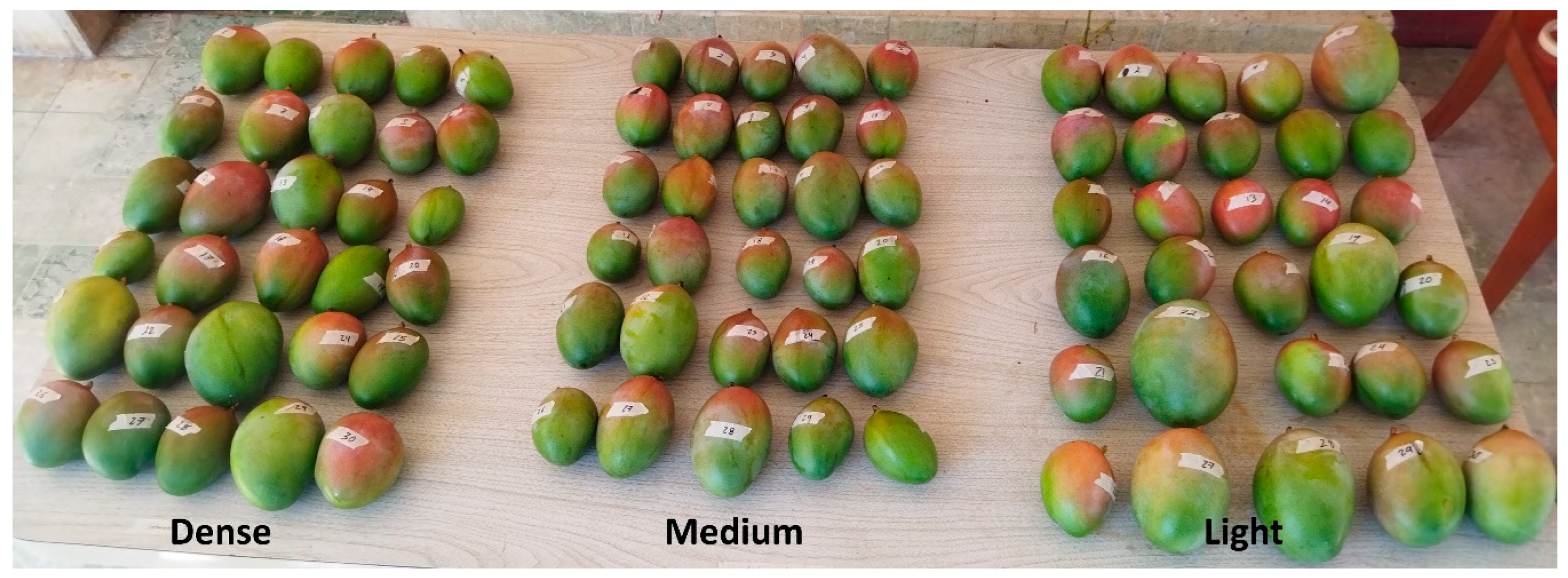 Plants 13 01216 g006