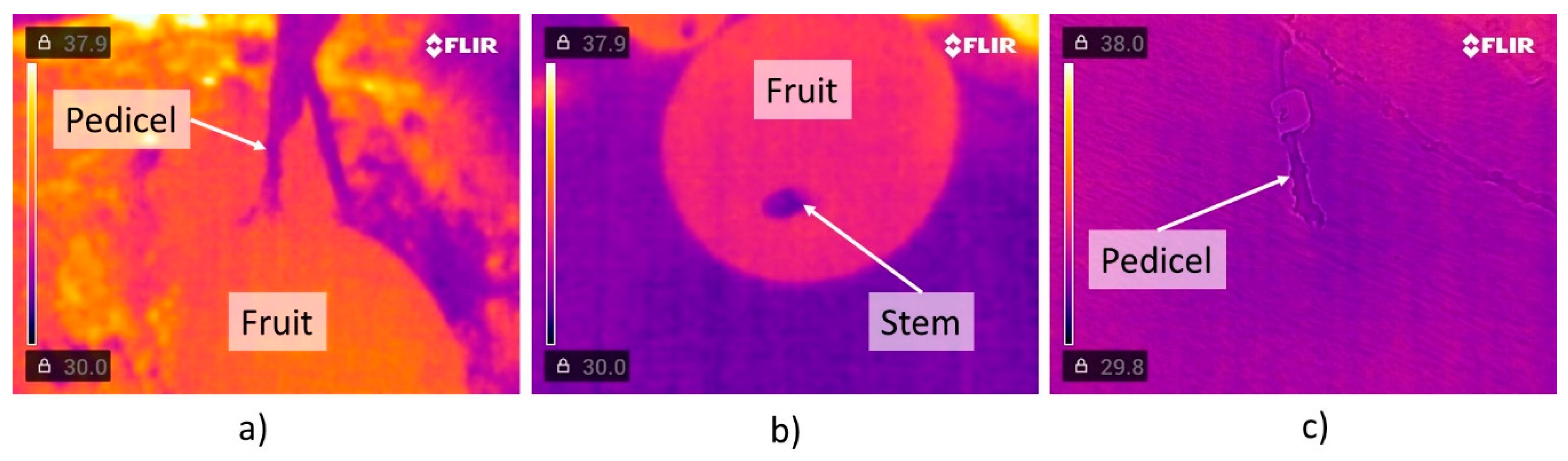Plants 13 01216 g008