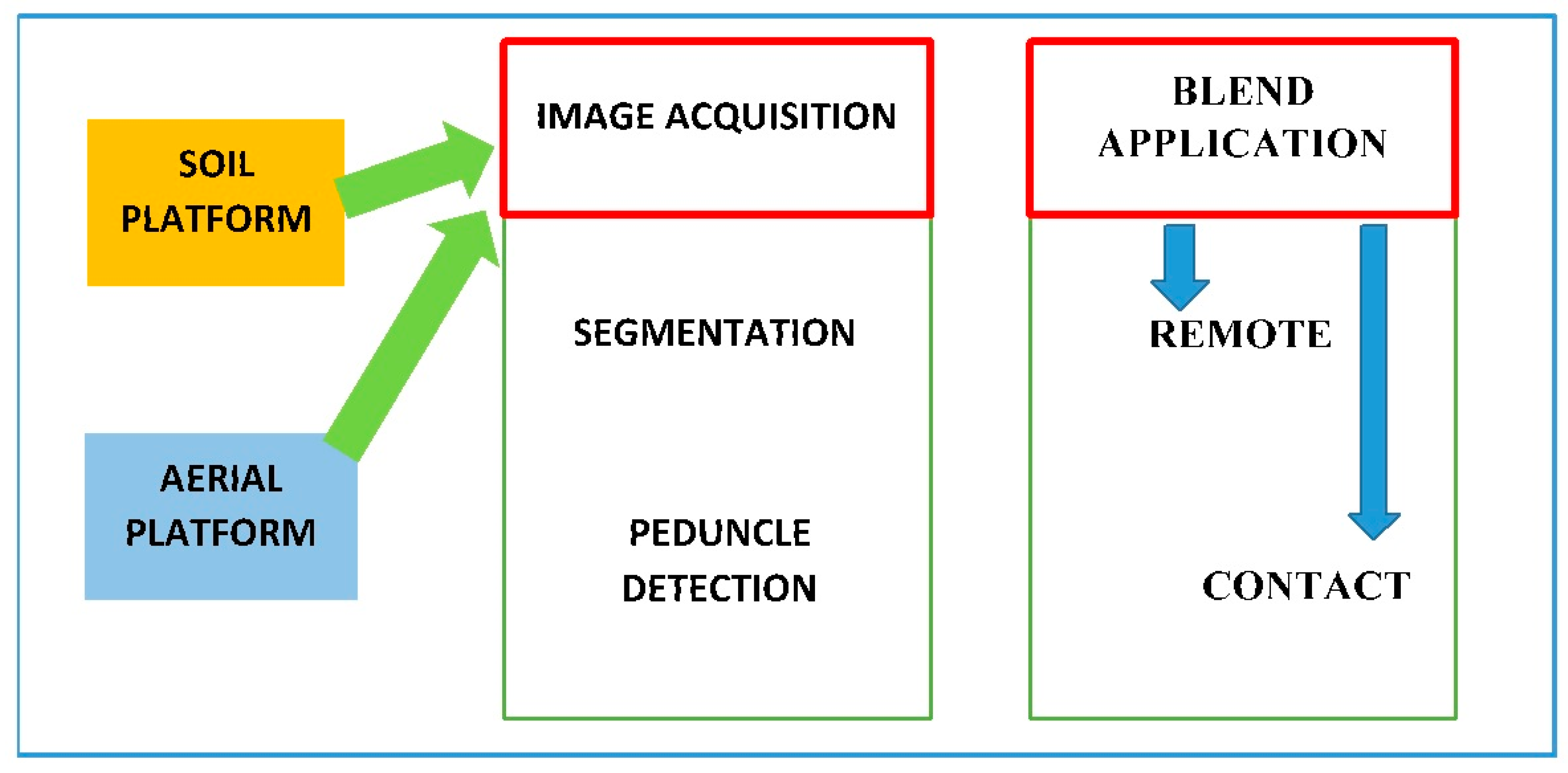 Plants 13 01216 g015