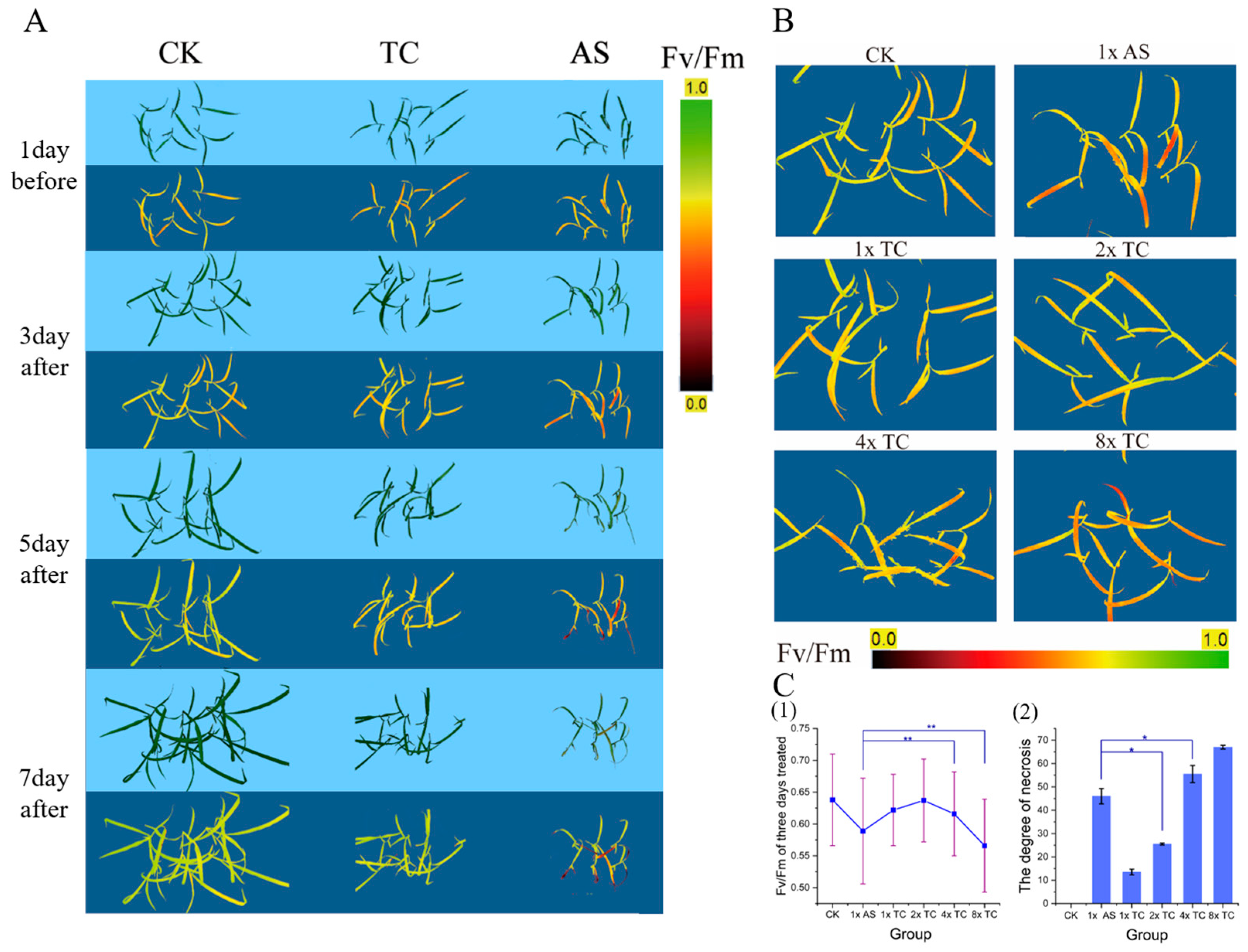 Plants 13 01218 g004