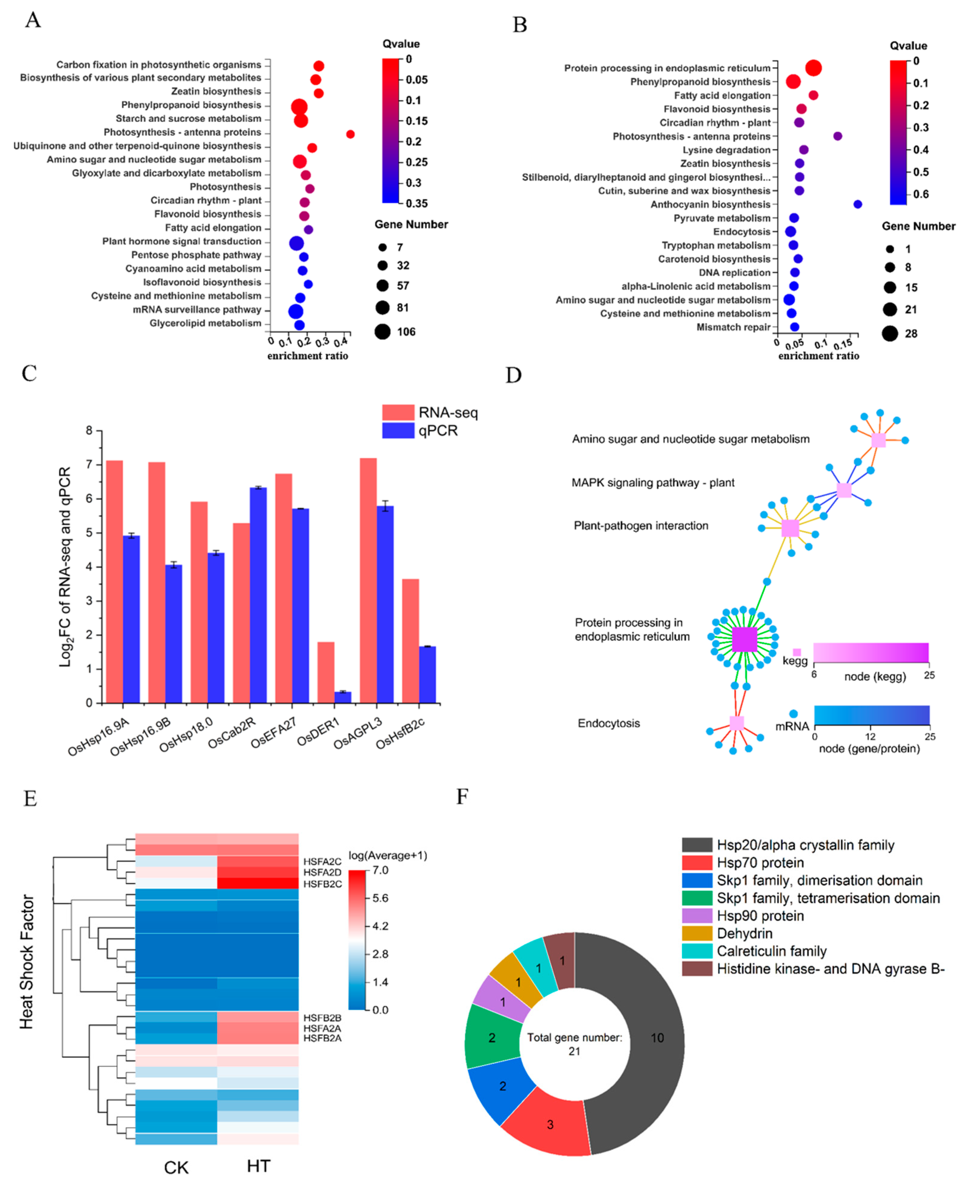 Plants 13 01218 g005