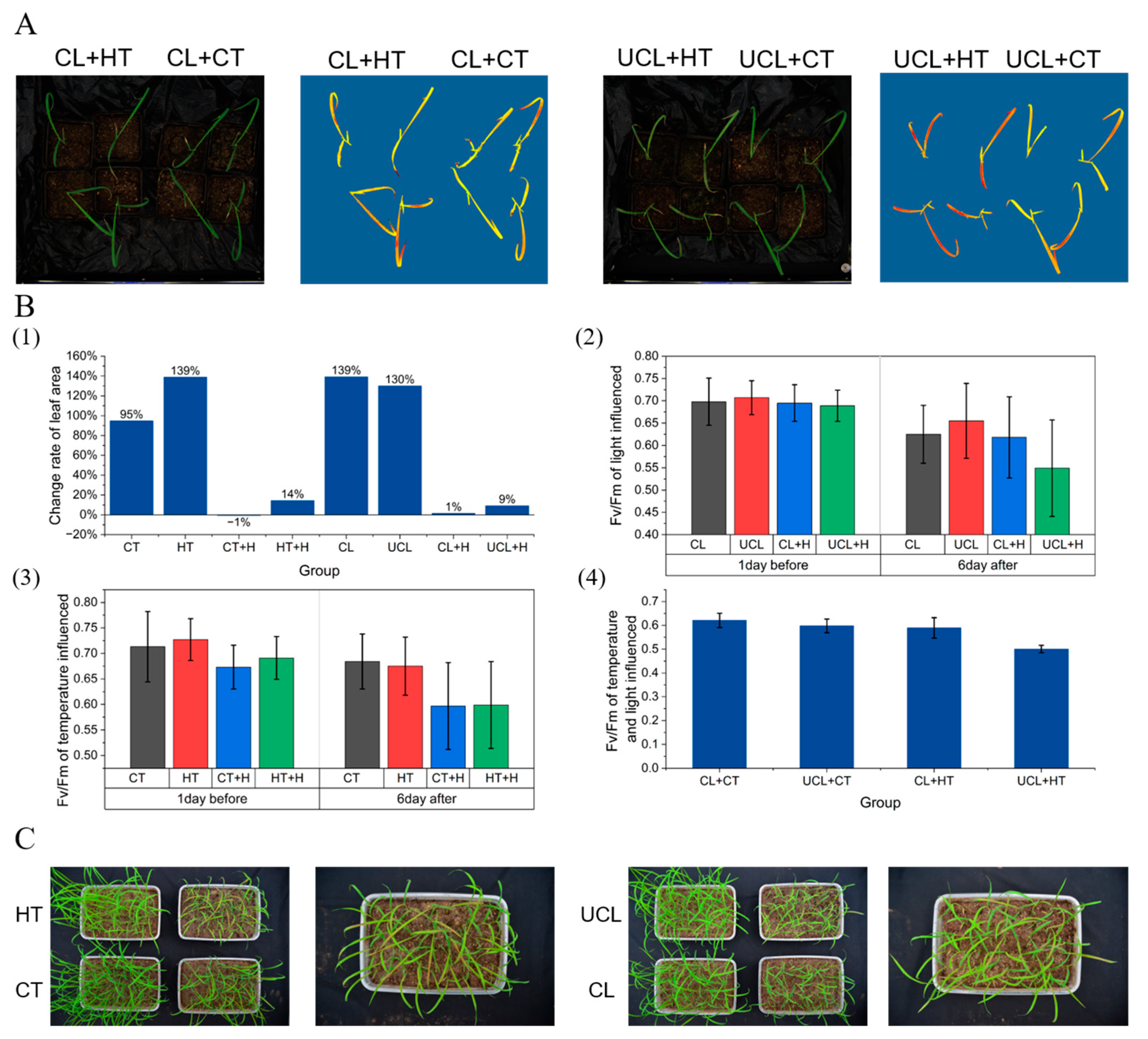 Plants 13 01218 g007
