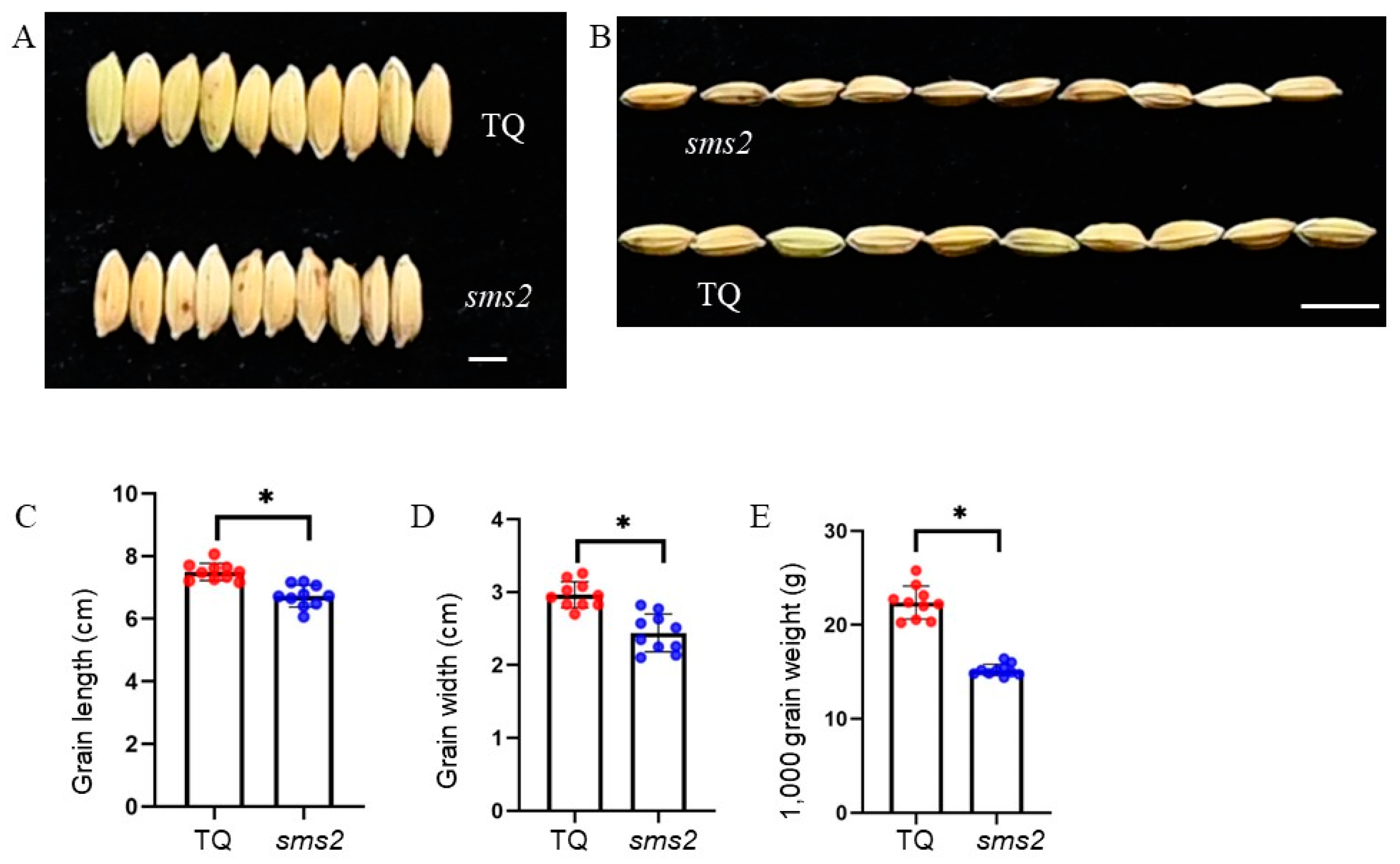 Plants 13 01219 g002
