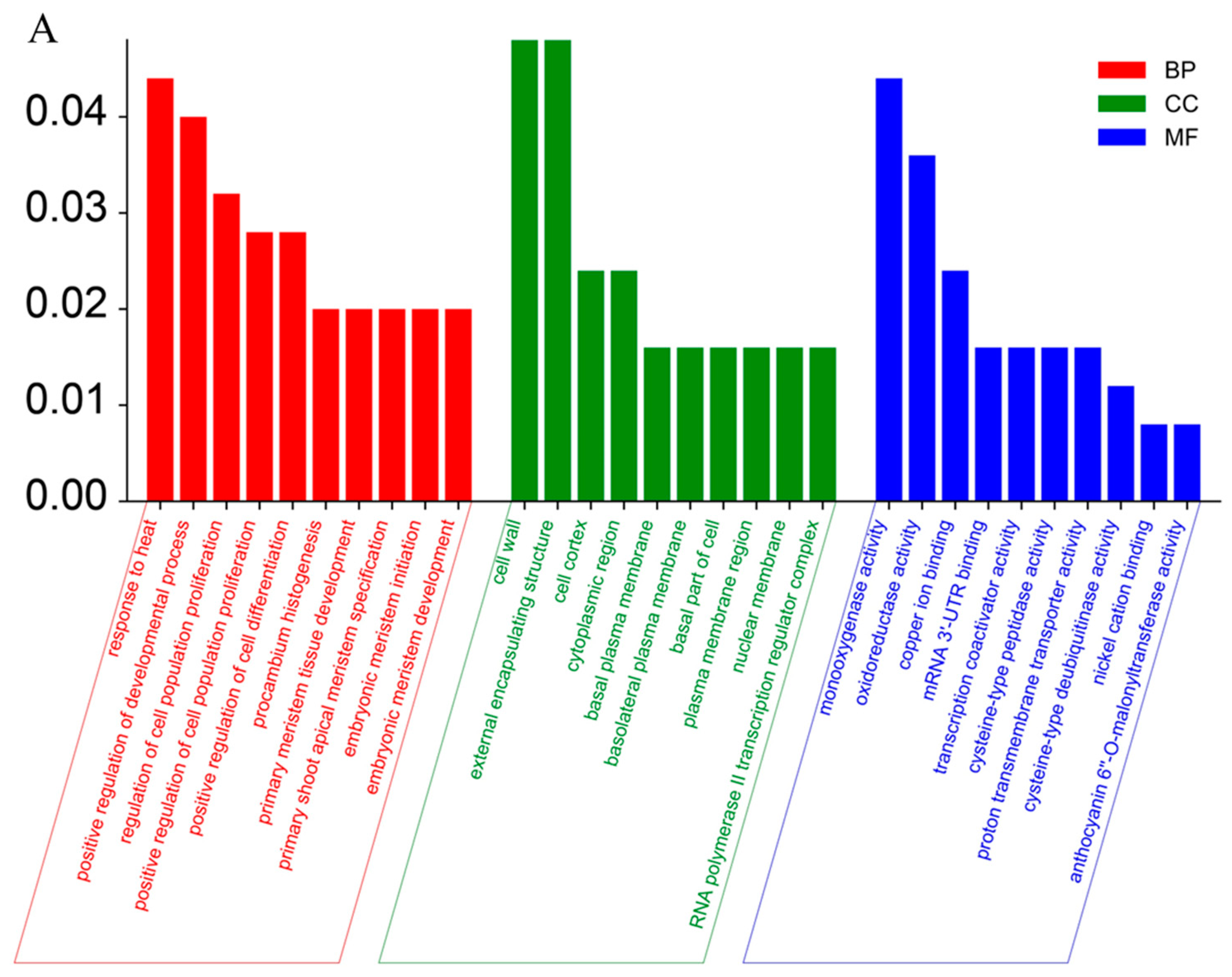 Plants 13 01219 g004a