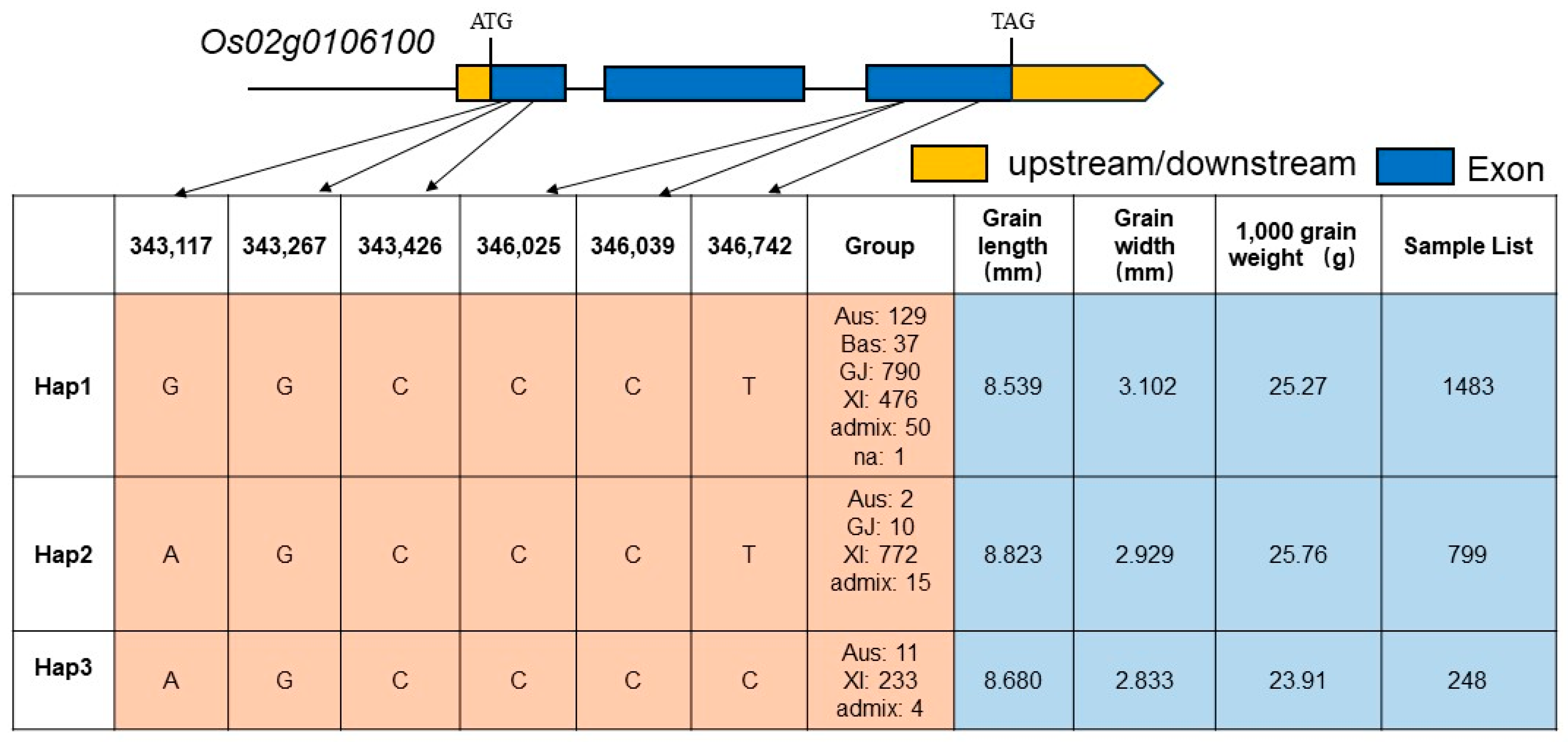 Plants 13 01219 g006
