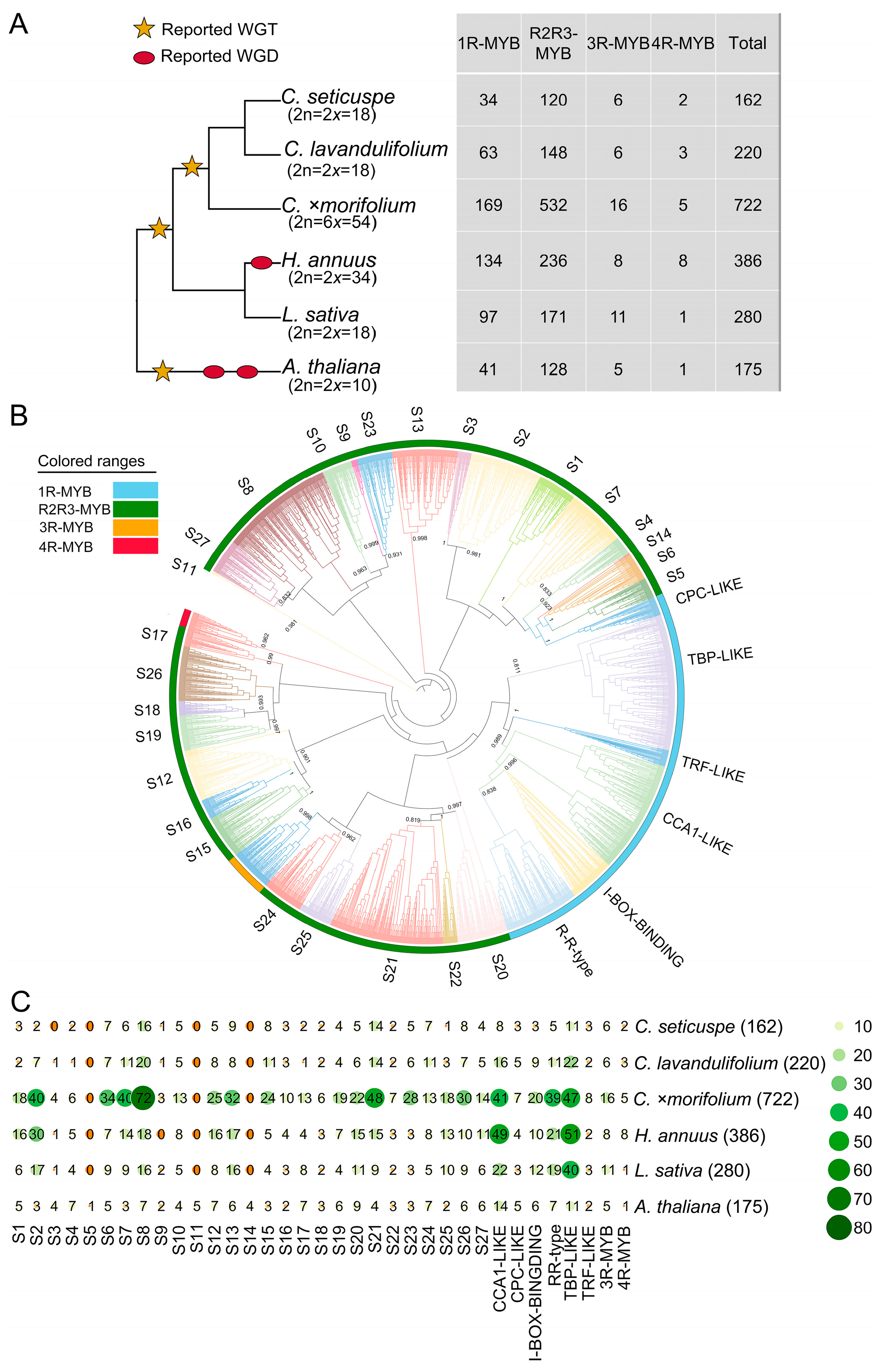 Plants 13 01221 g001