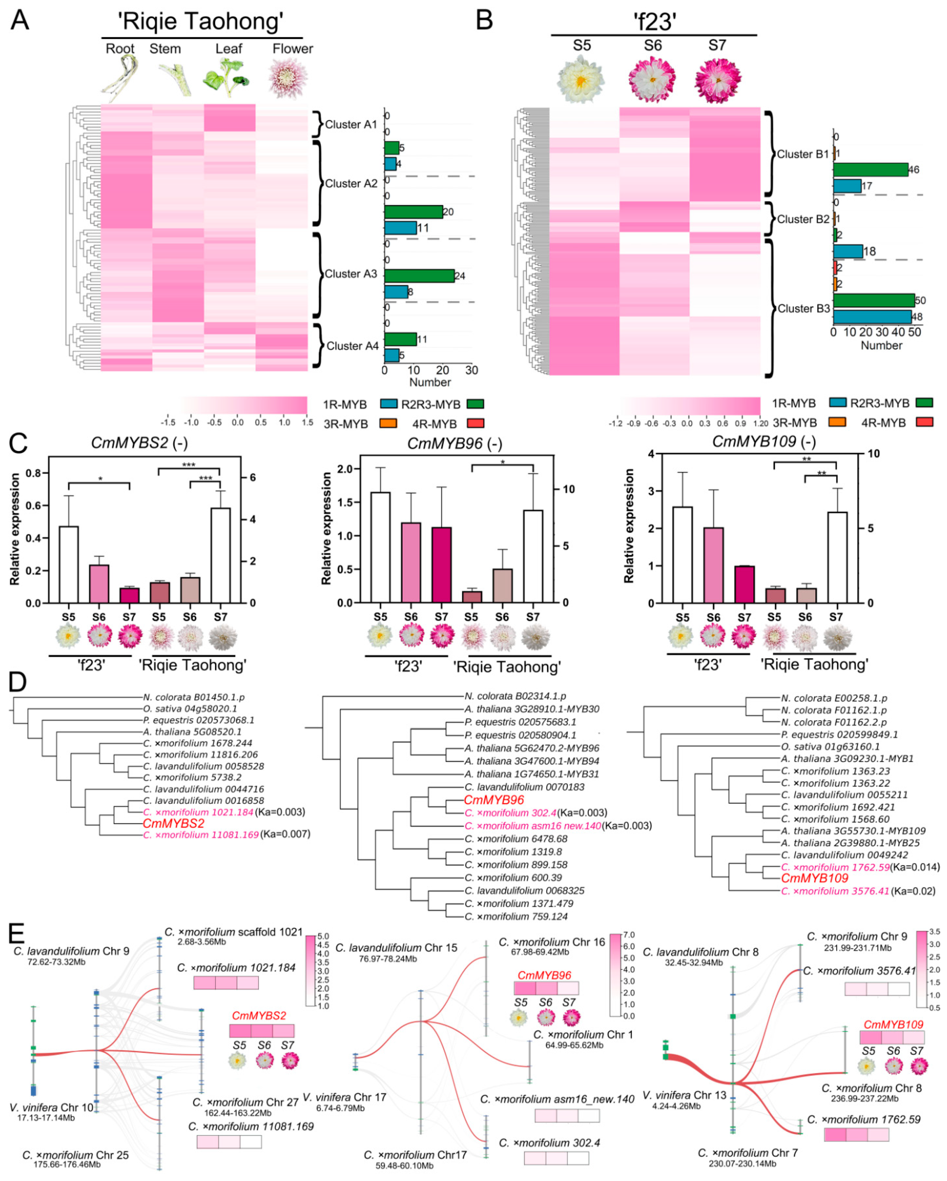 Plants 13 01221 g004