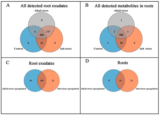 Plants 13 01227 g001