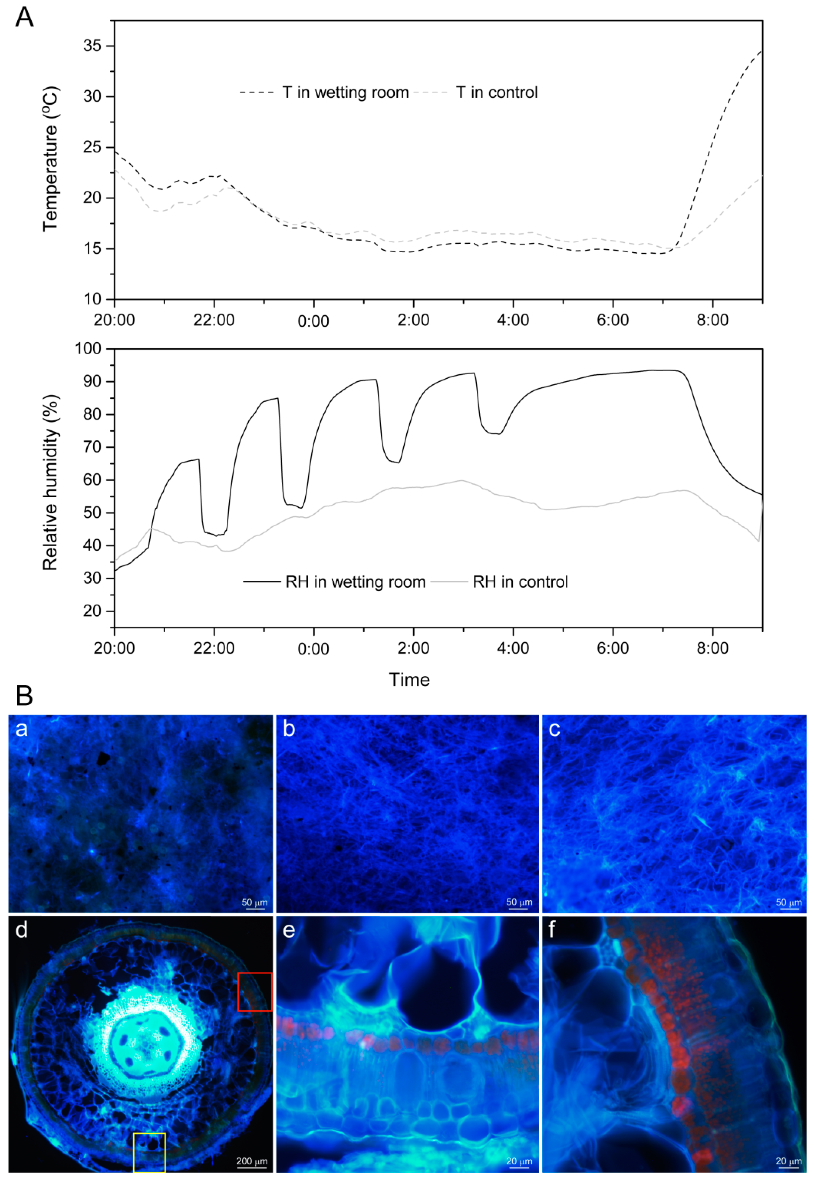 Plants 13 01233 g005 Plants 13 01233 g005