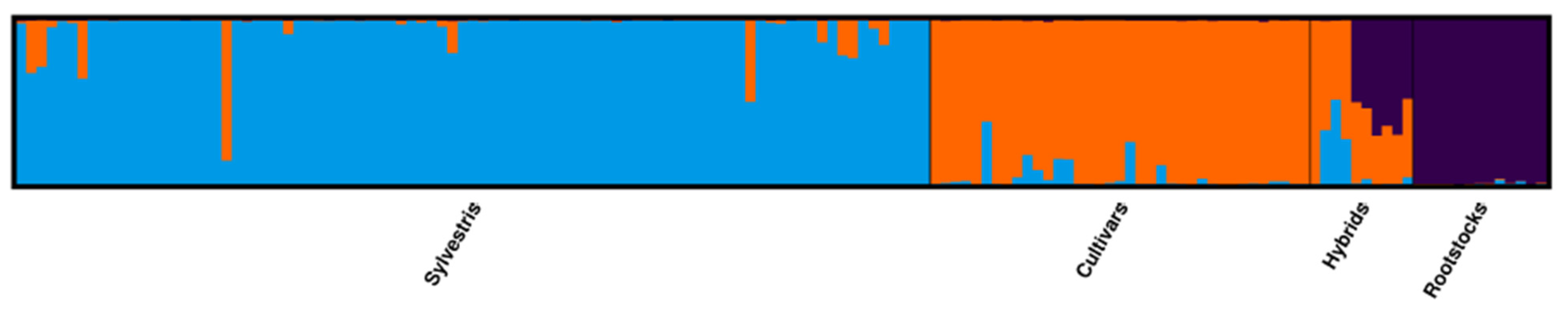 Plants 13 01234 g002