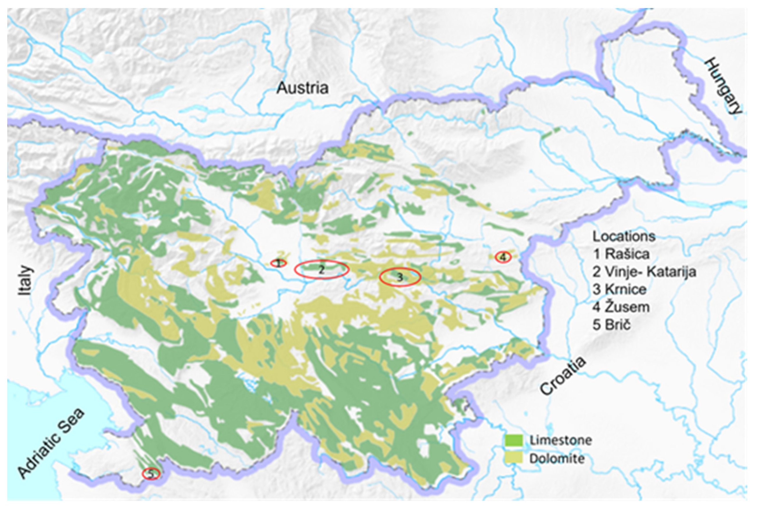 Plants 13 01234 g005