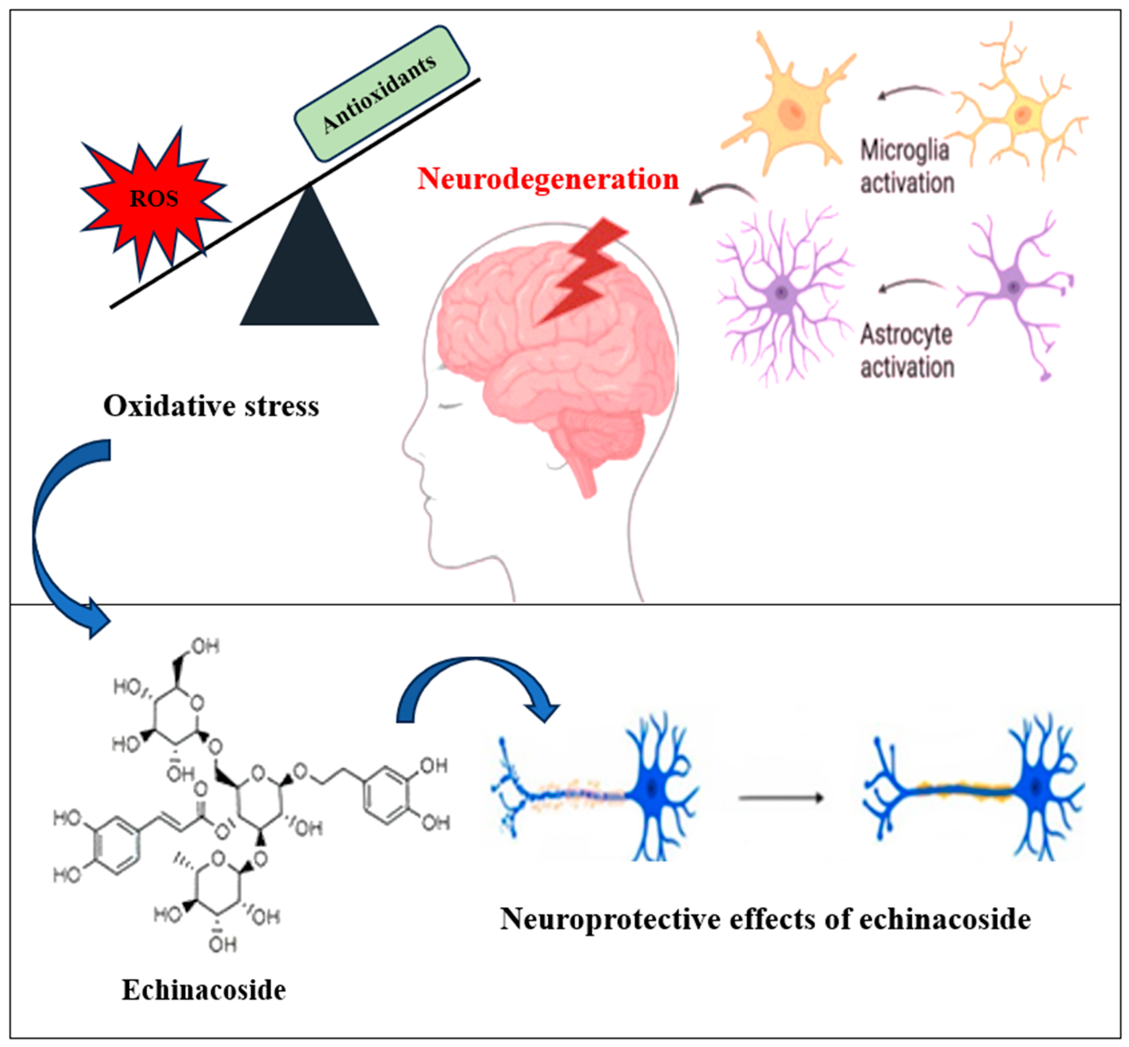 Plants 13 01235 g002