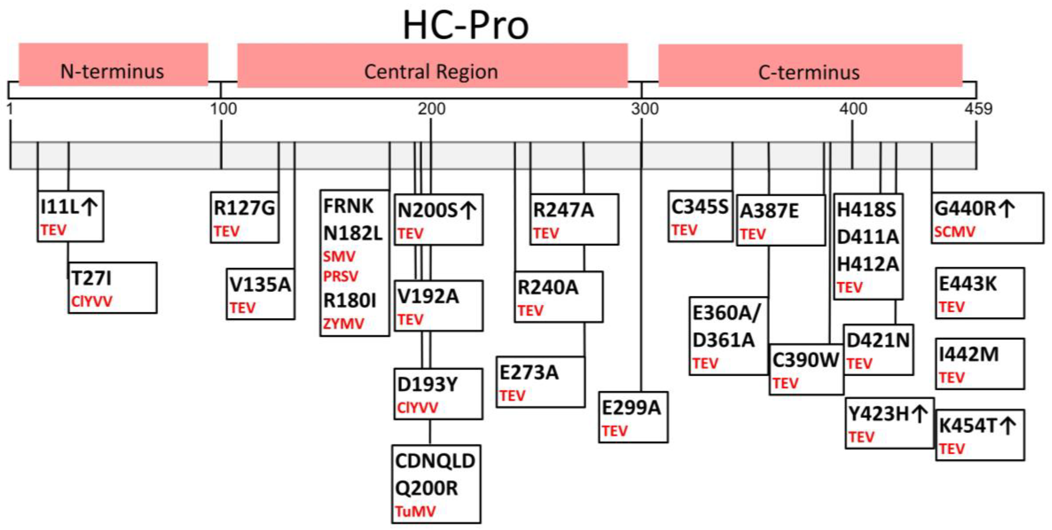 Plants 13 01236 g003