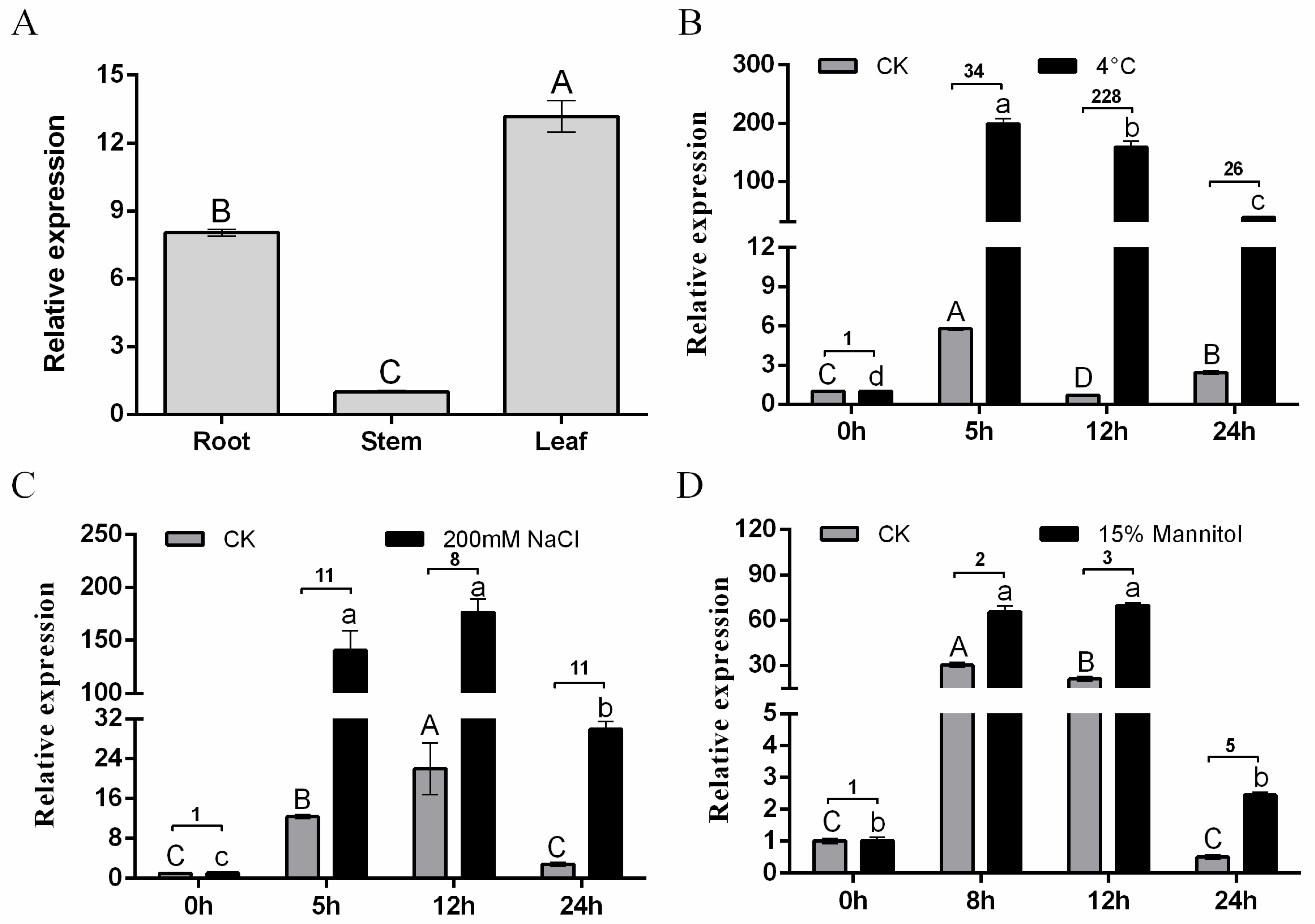 Plants 13 01237 g002