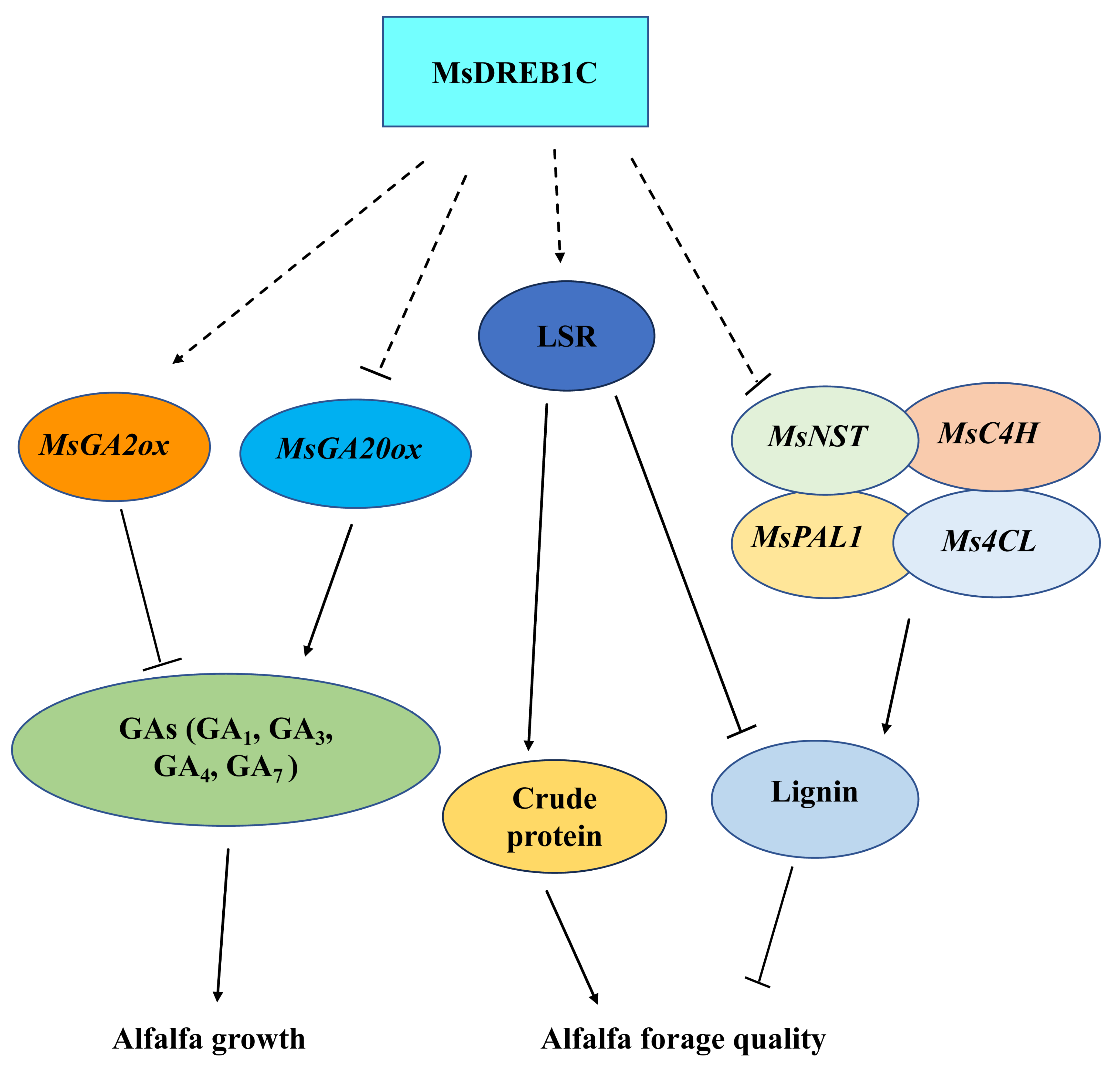 Plants 13 01237 g008