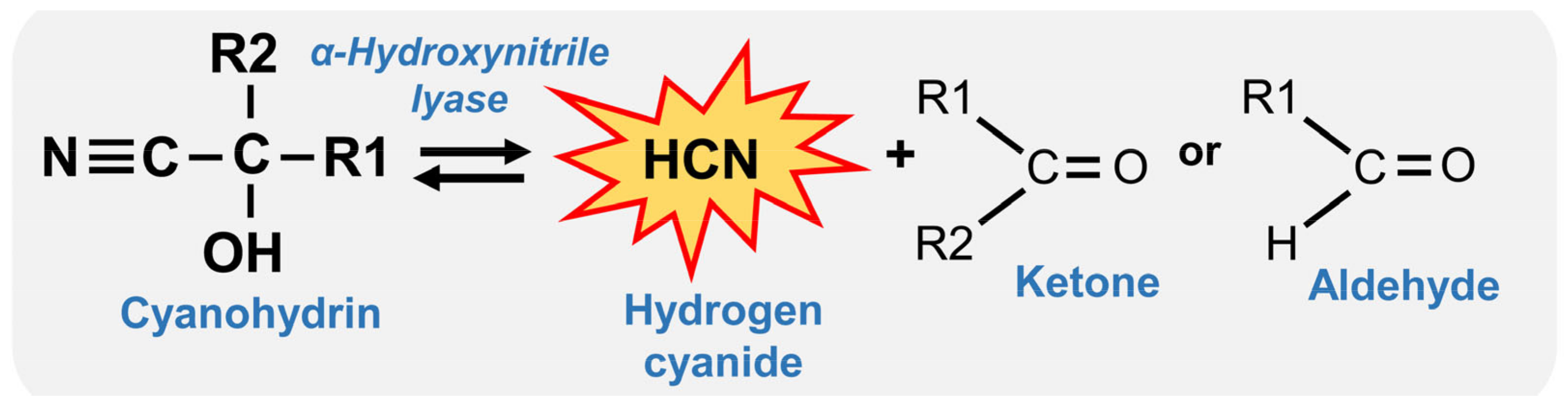 Plants 13 01239 g001 Plants 13 01239 g001