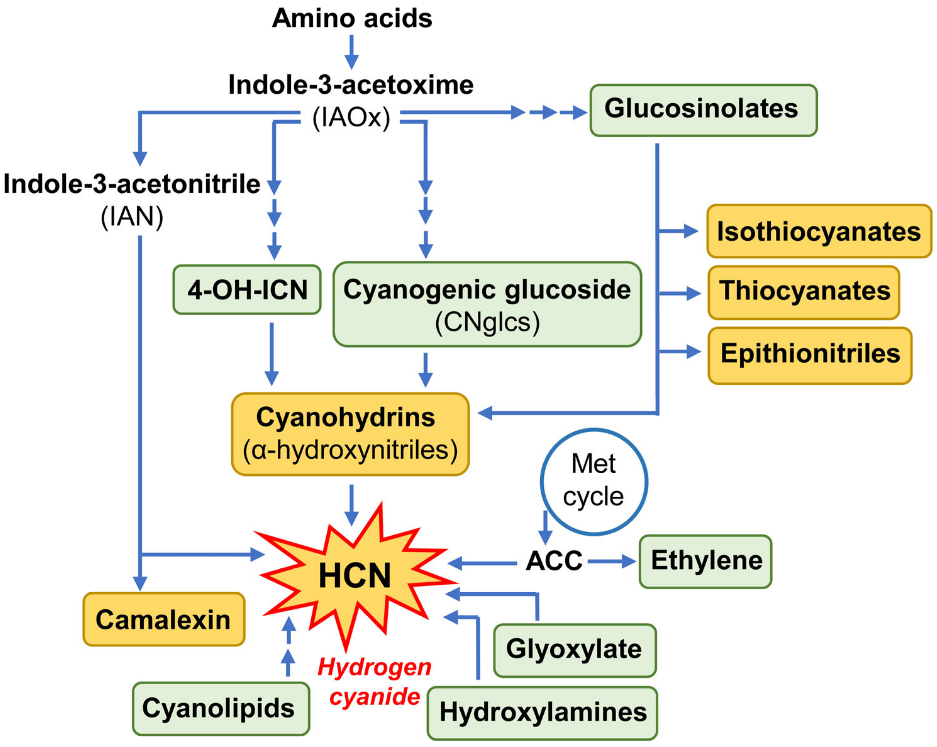 Plants 13 01239 g002 Plants 13 01239 g002