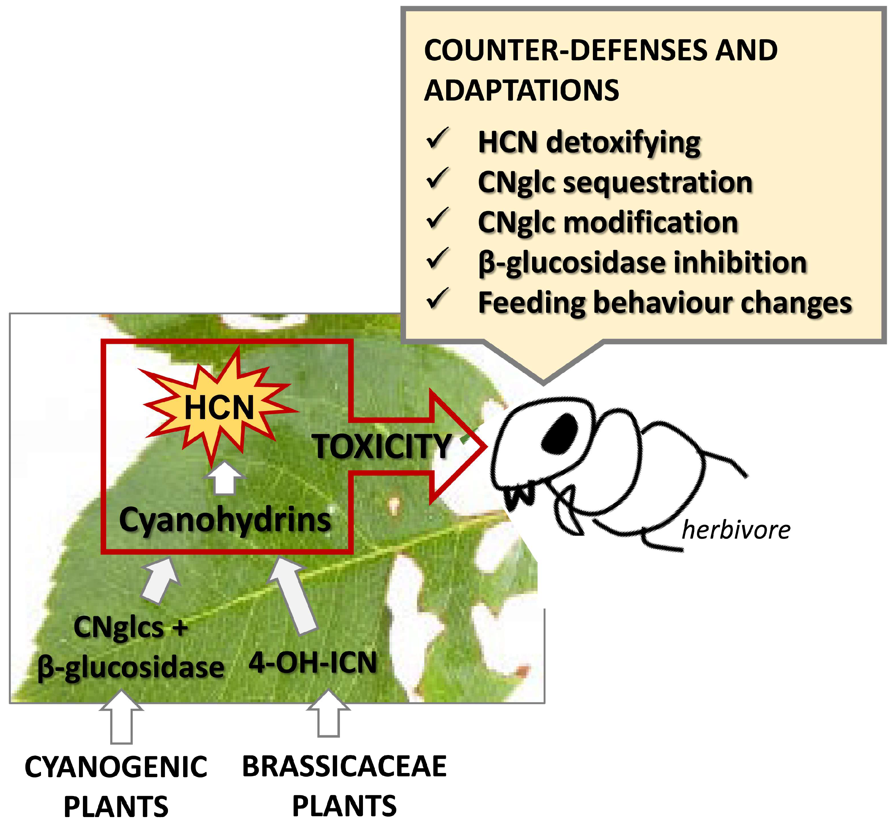 Plants 13 01239 g004 Plants 13 01239 g004