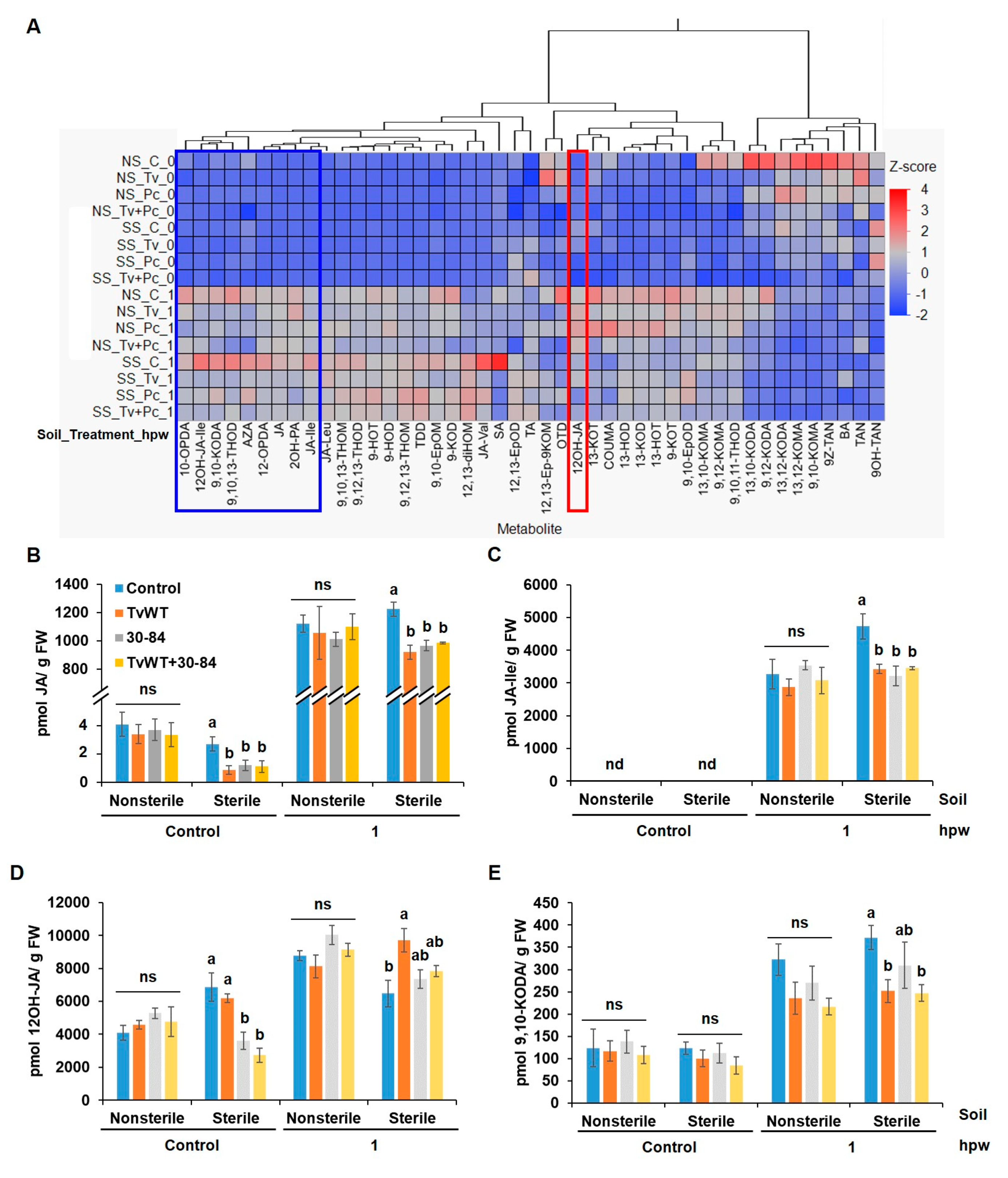Plants 13 01240 g006