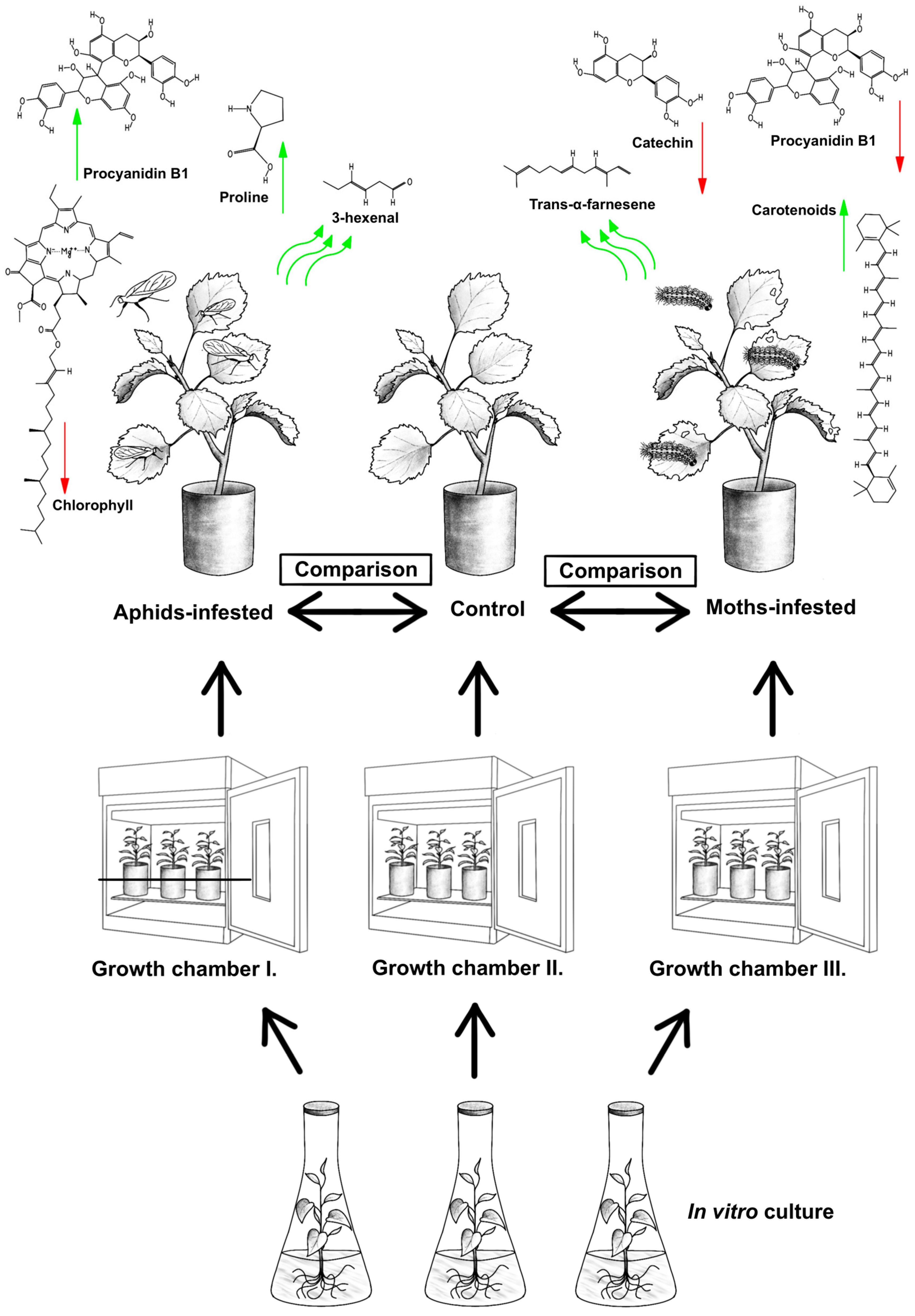 Plants 13 01243 g006 Plants 13 01243 g006