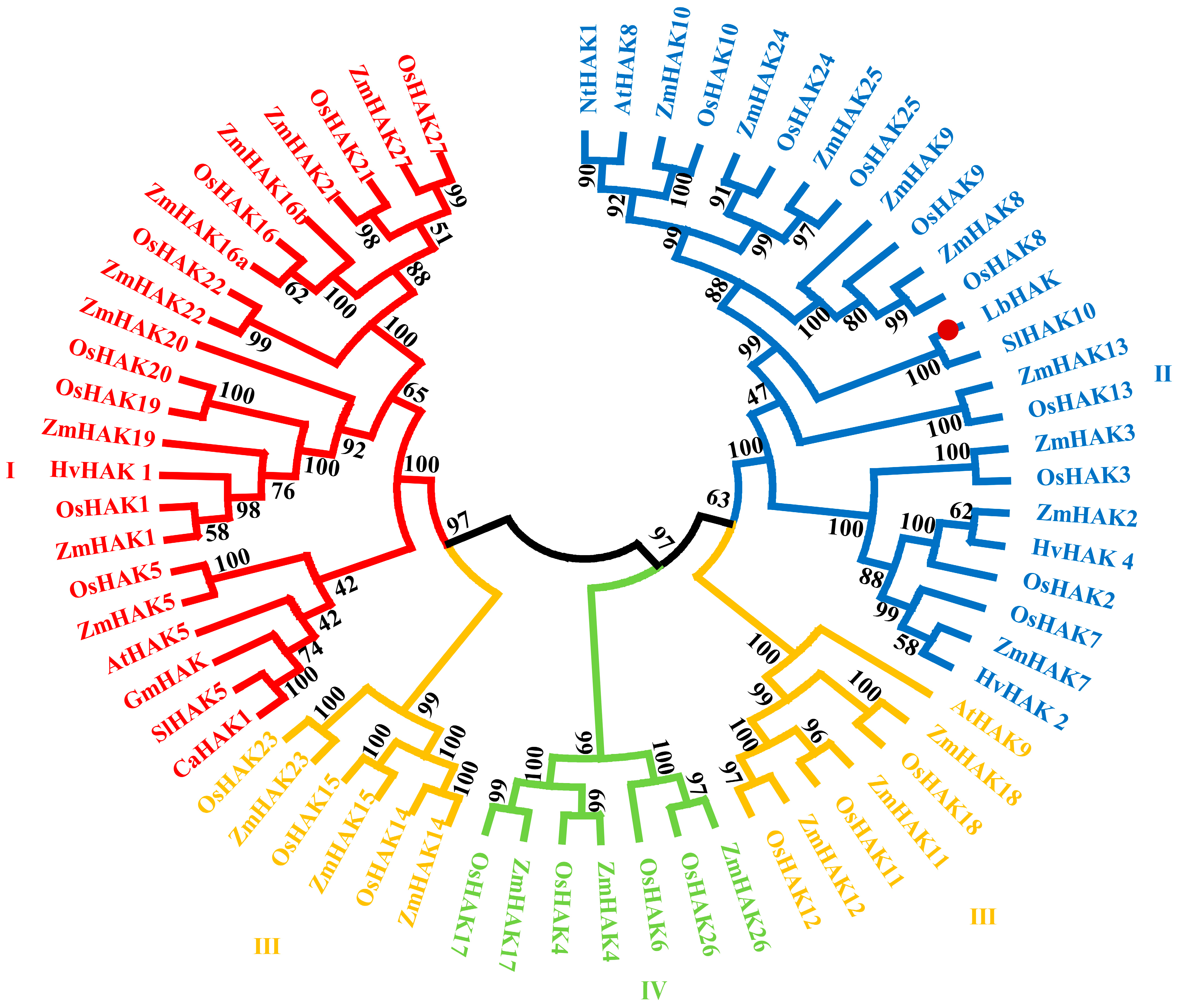 Plants 13 01244 g001