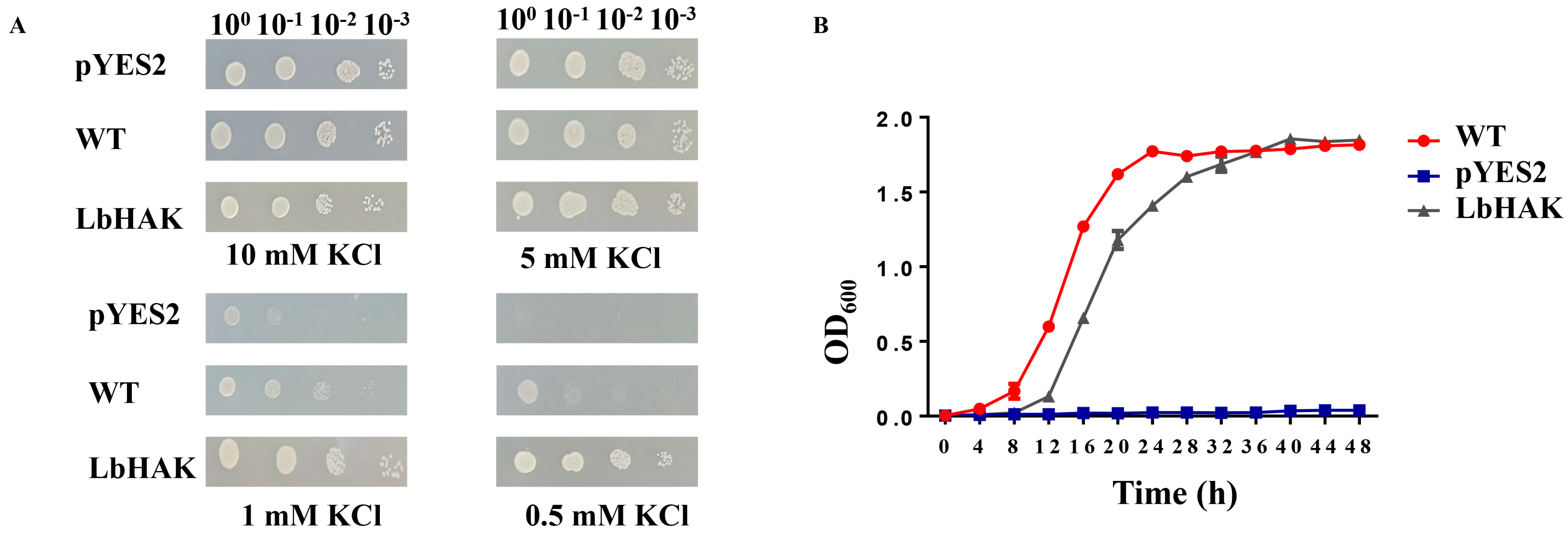 Plants 13 01244 g002